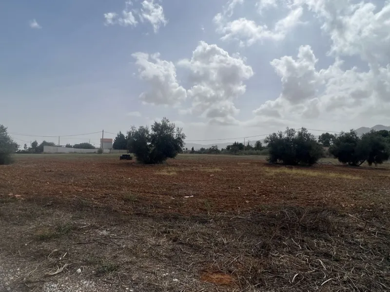 House - Finca - Cortijo в продаже в Alhaurín de la Torre, Málaga. В доме 8 спален и 2 ванных комнат. Площадь дома 489 м². Площадь участка 28447 м²