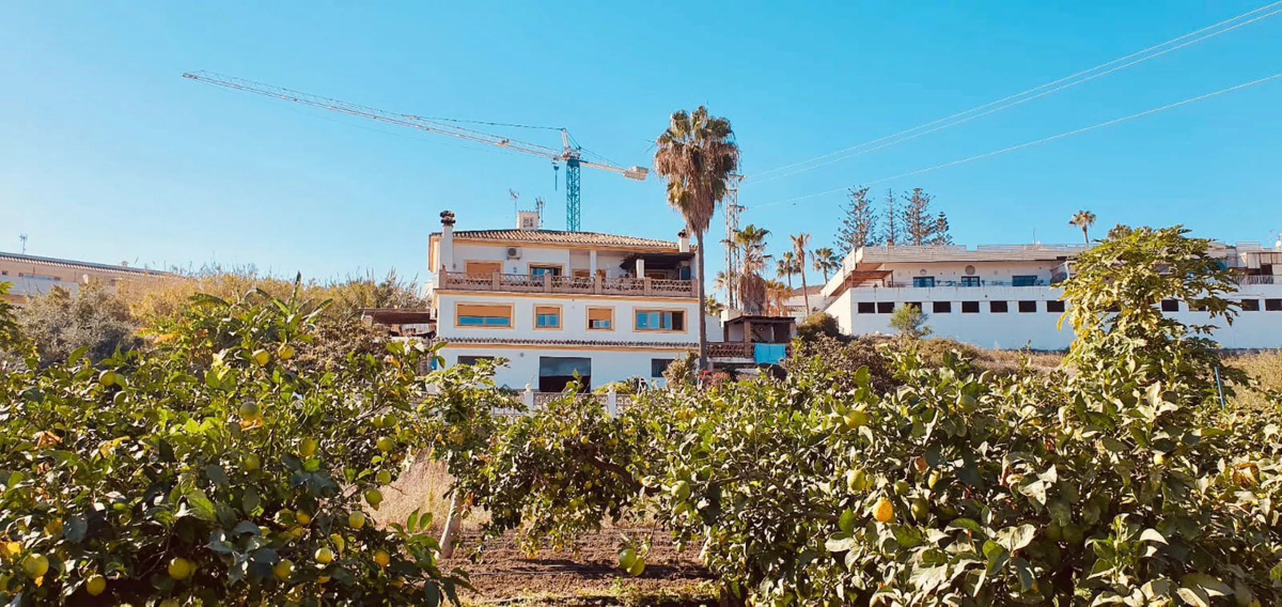 Large house in the centre of Cancelada with almost 4,000 m2 of land around it.