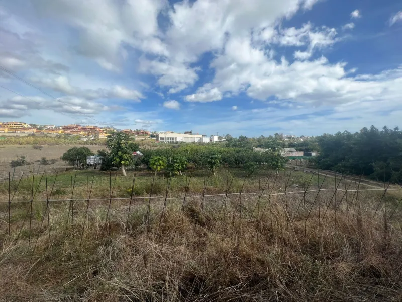 Large house in the centre of Cancelada with almost 4,000 m2 of land around it.
