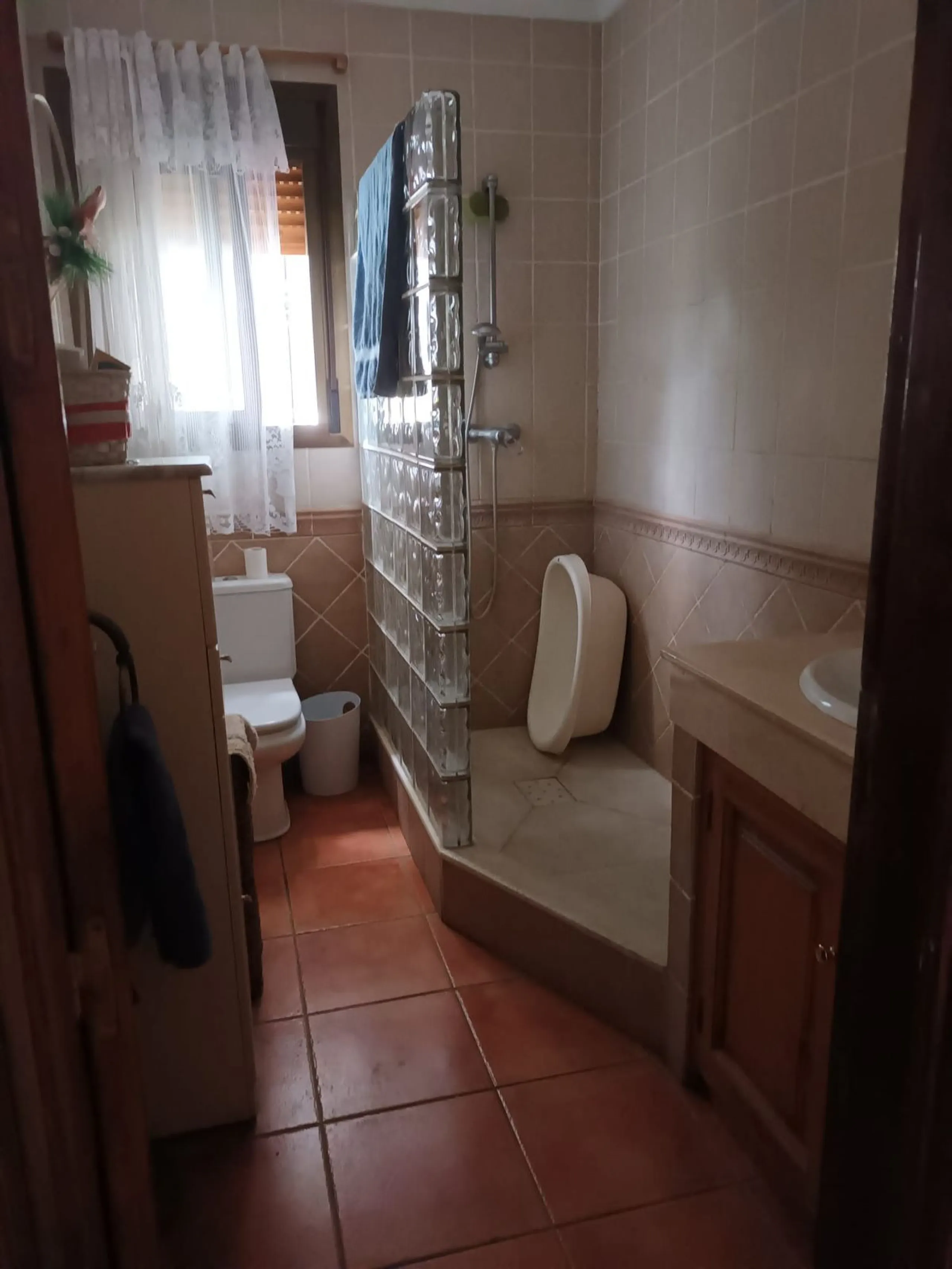 Large house in the centre of Cancelada with almost 4,000 m2 of land around it.