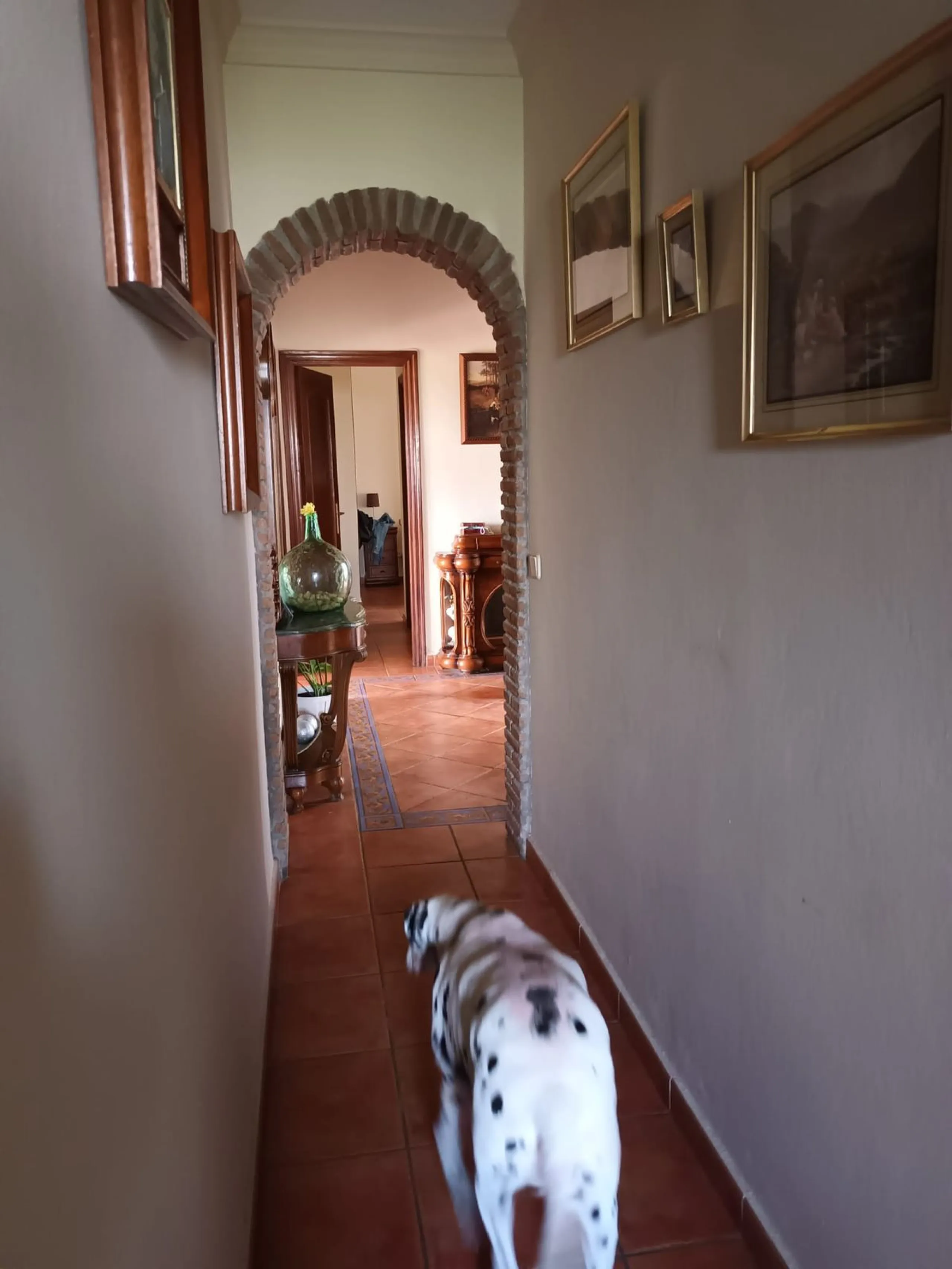 Large house in the centre of Cancelada with almost 4,000 m2 of land around it.