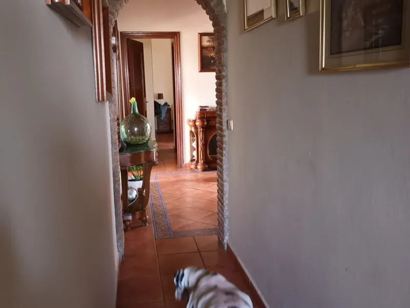 Large house in the centre of Cancelada with almost 4,000 m2 of land around it.