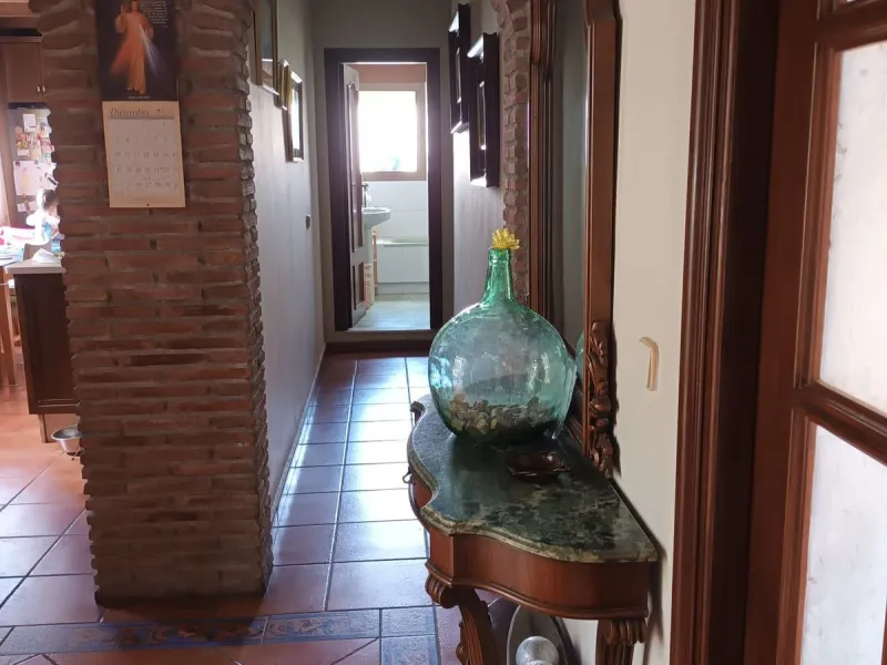 Large house in the centre of Cancelada with almost 4,000 m2 of land around it.