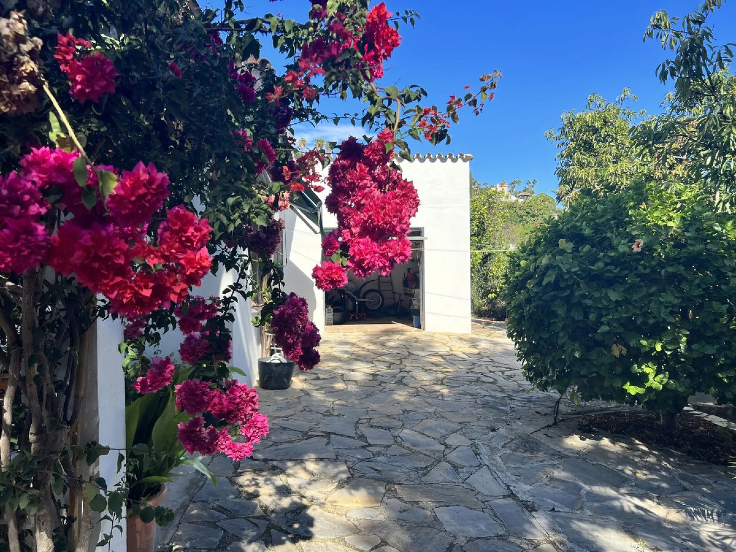 Wonderfull south facing Finca with a 3 bedroom house of 100 m2 in a very quiet location on a  3000 m2  plot with various fruit trees such as figs,oranges,chirimoyas,avocados etc,