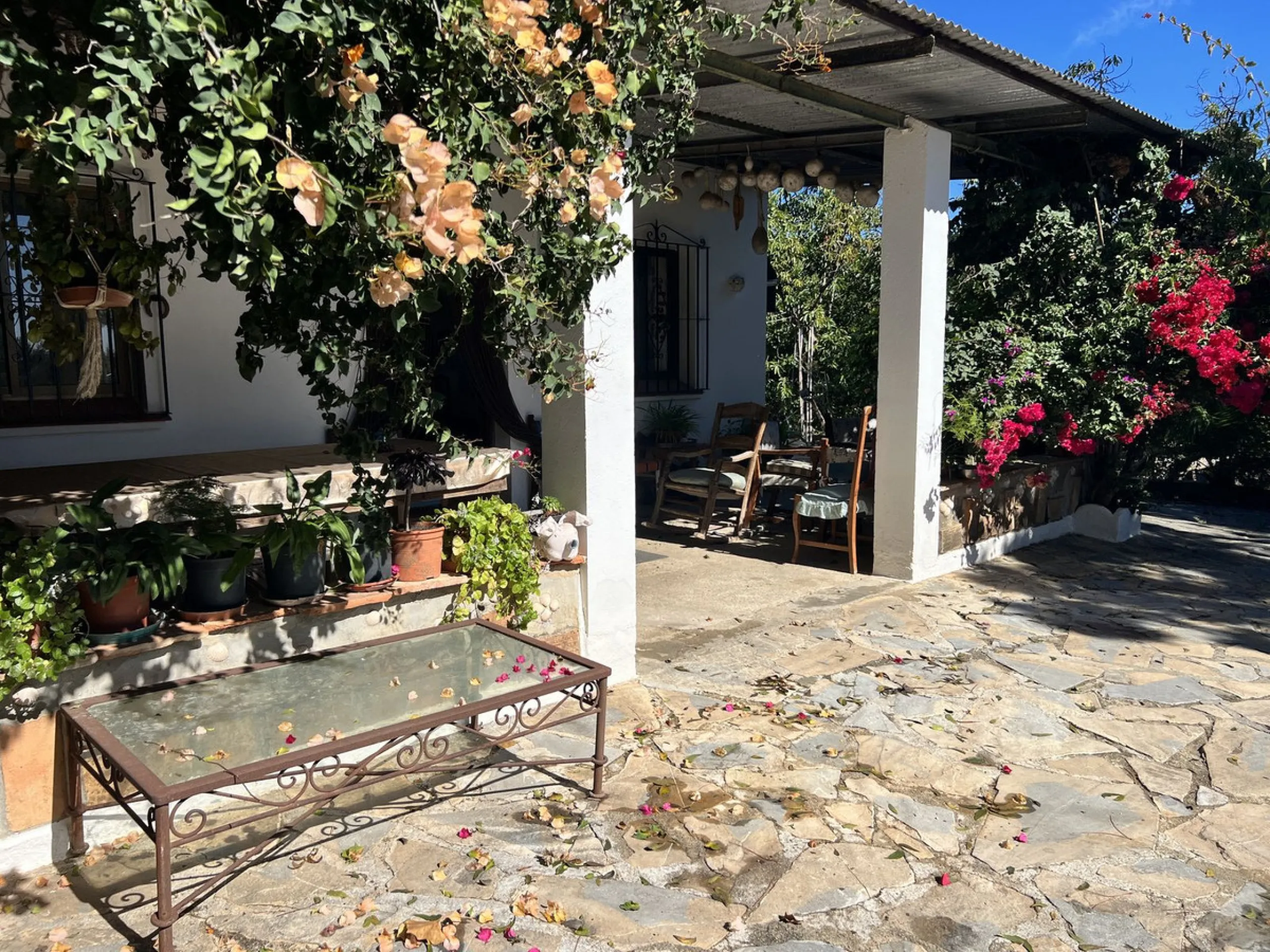 Wonderfull south facing Finca with a 3 bedroom house of 100 m2 in a very quiet location on a  3000 m2  plot with various fruit trees such as figs,oranges,chirimoyas,avocados etc,