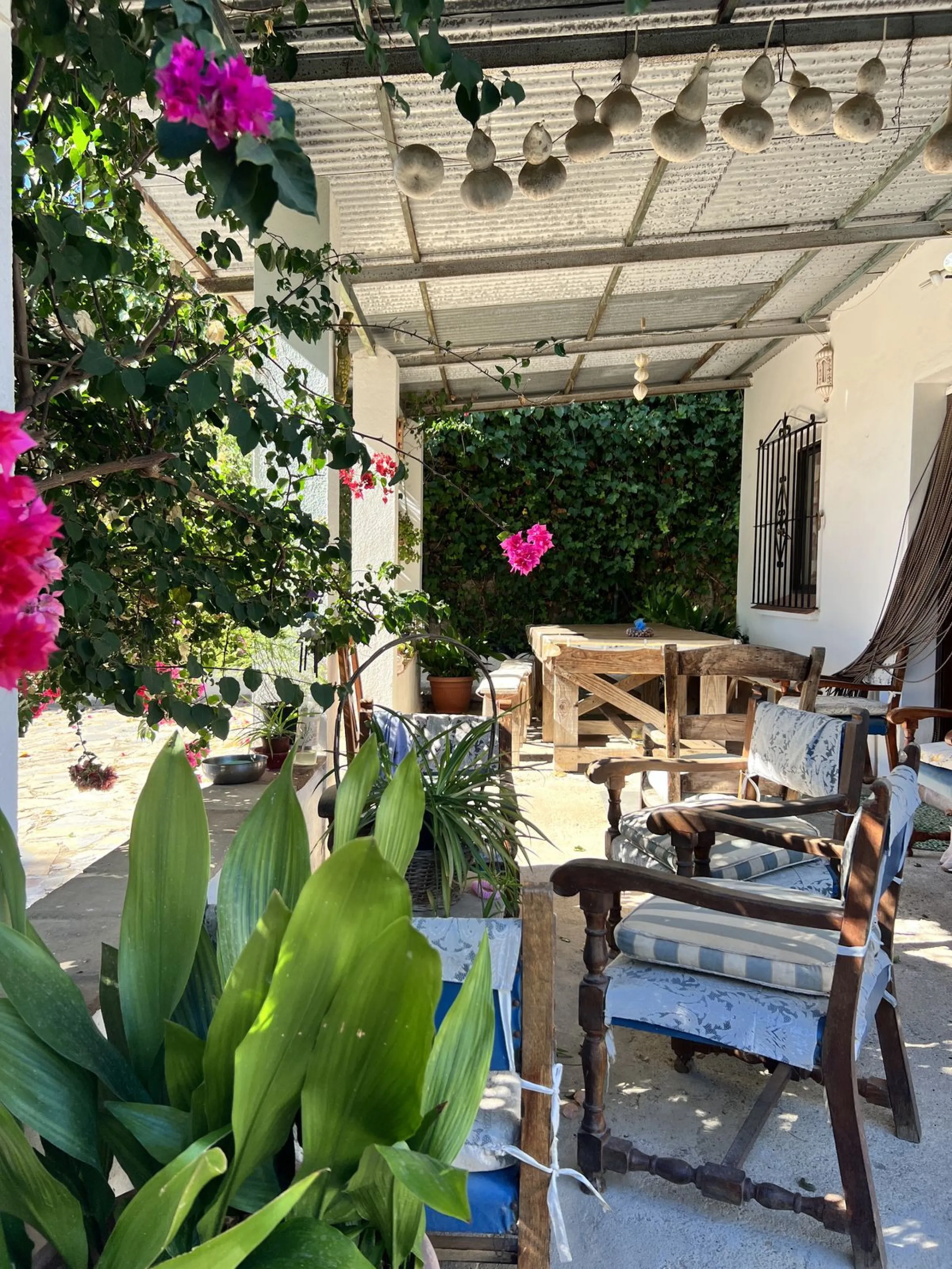 Wonderfull south facing Finca with a 3 bedroom house of 100 m2 in a very quiet location on a  3000 m2  plot with various fruit trees such as figs,oranges,chirimoyas,avocados etc,