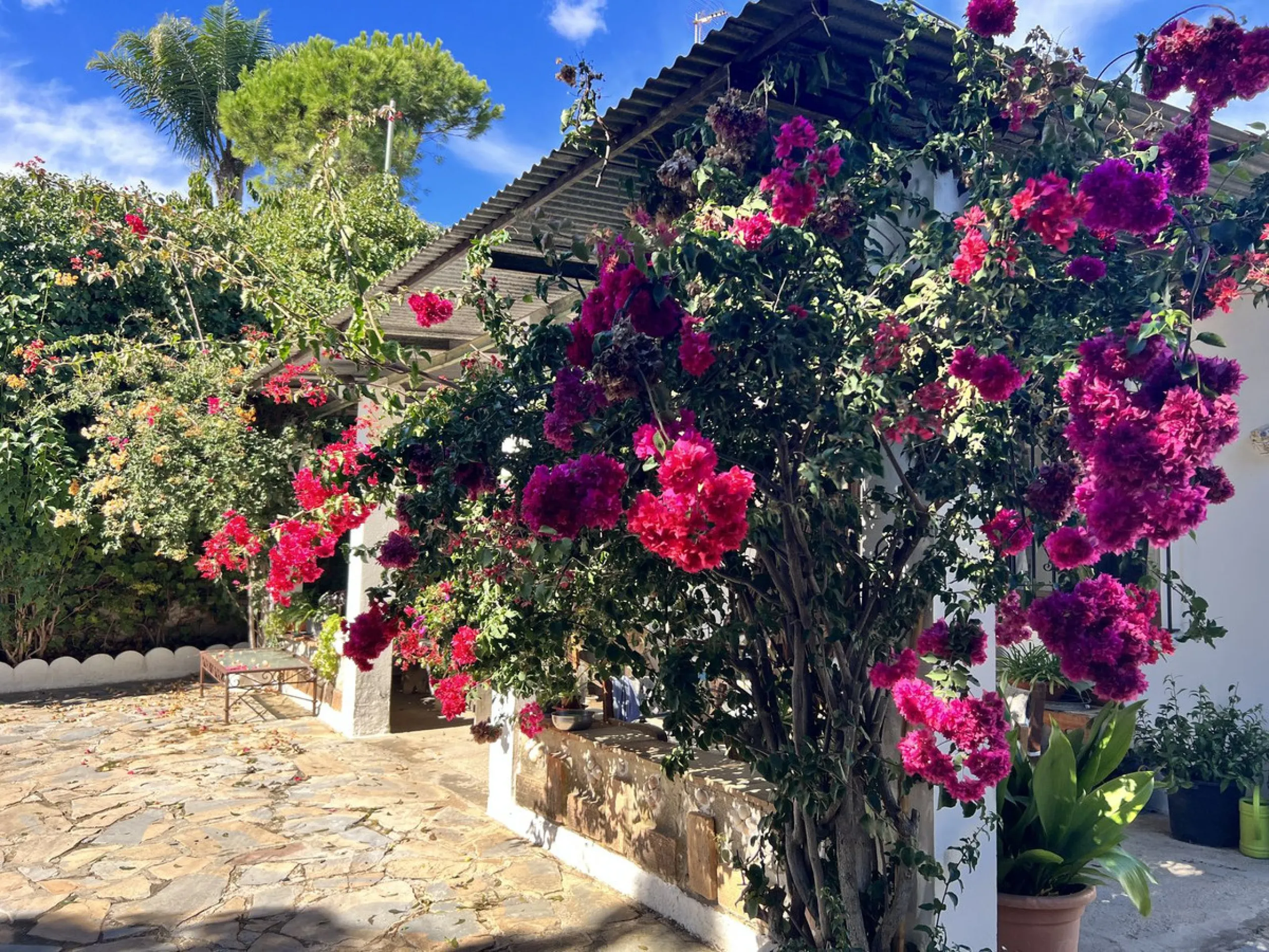 Wonderfull south facing Finca with a 3 bedroom house of 100 m2 in a very quiet location on a  3000 m2  plot with various fruit trees such as figs,oranges,chirimoyas,avocados etc,