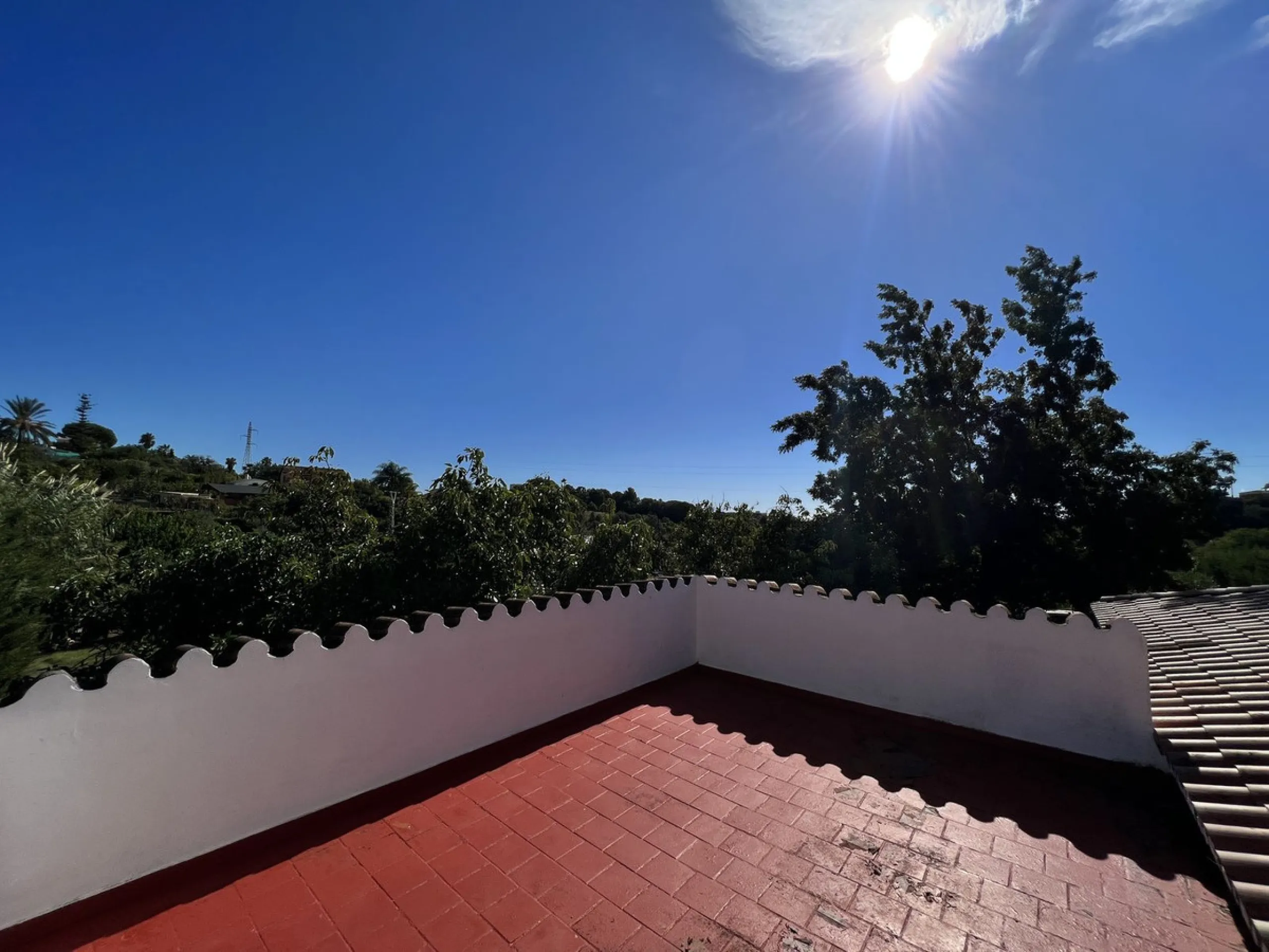 Wonderfull south facing Finca with a 3 bedroom house of 100 m2 in a very quiet location on a  3000 m2  plot with various fruit trees such as figs,oranges,chirimoyas,avocados etc,