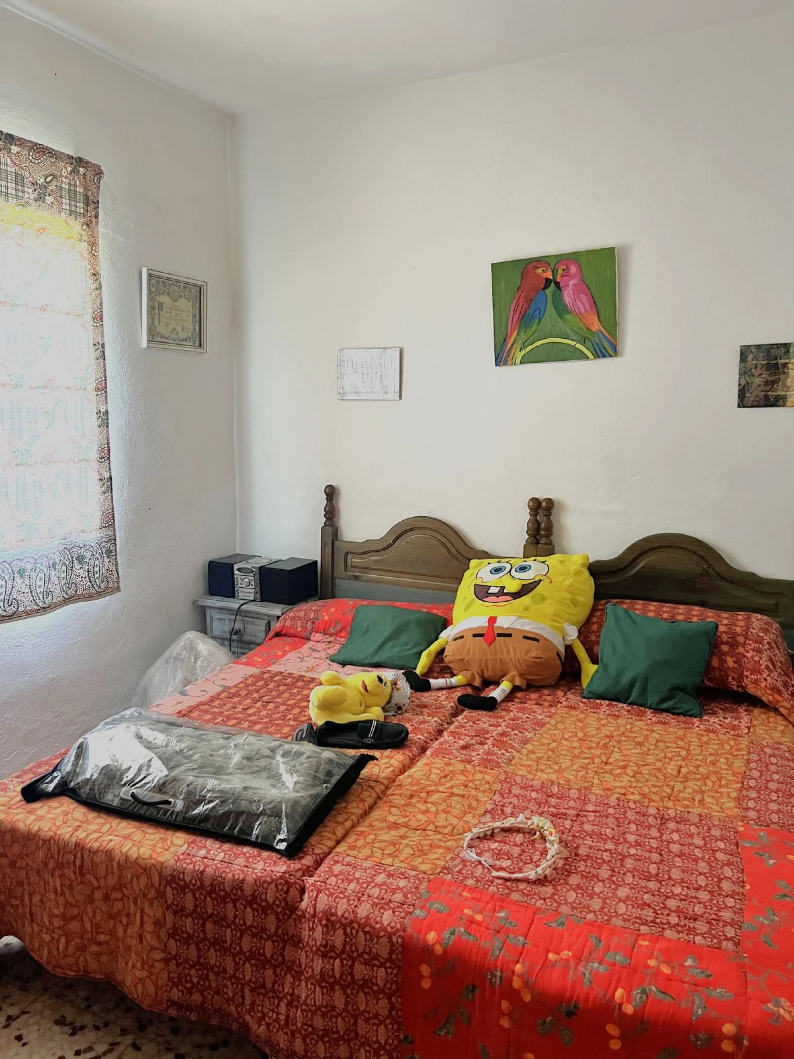 Wonderfull south facing Finca with a 3 bedroom house of 100 m2 in a very quiet location on a  3000 m2  plot with various fruit trees such as figs,oranges,chirimoyas,avocados etc,