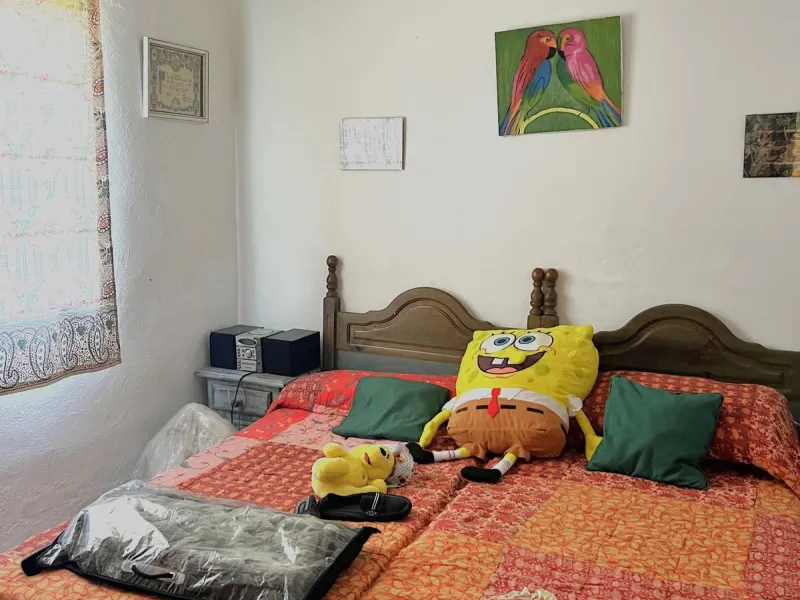 Wonderfull south facing Finca with a 3 bedroom house of 100 m2 in a very quiet location on a  3000 m2  plot with various fruit trees such as figs,oranges,chirimoyas,avocados etc,