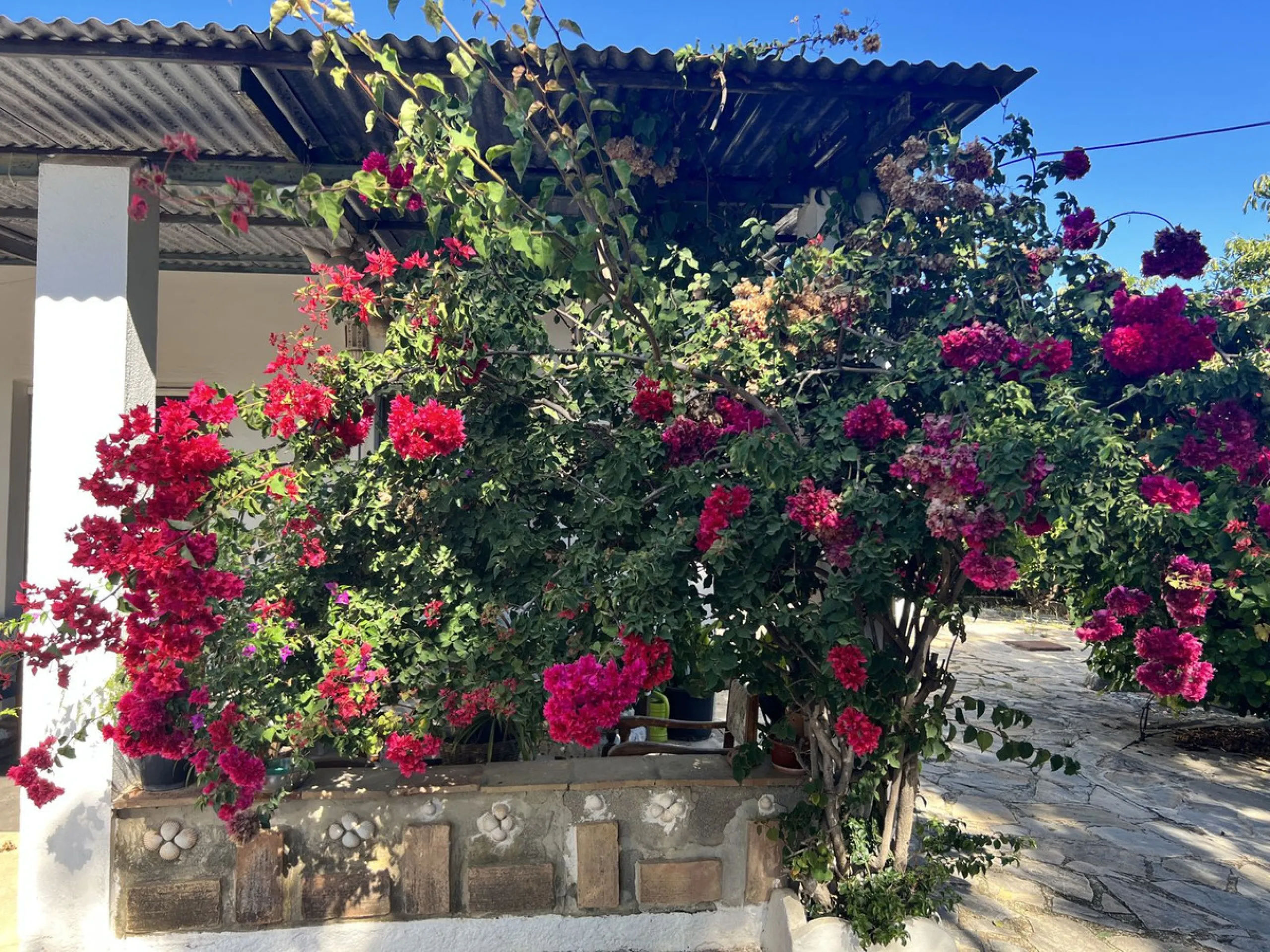 Wonderfull south facing Finca with a 3 bedroom house of 100 m2 in a very quiet location on a  3000 m2  plot with various fruit trees such as figs,oranges,chirimoyas,avocados etc,
