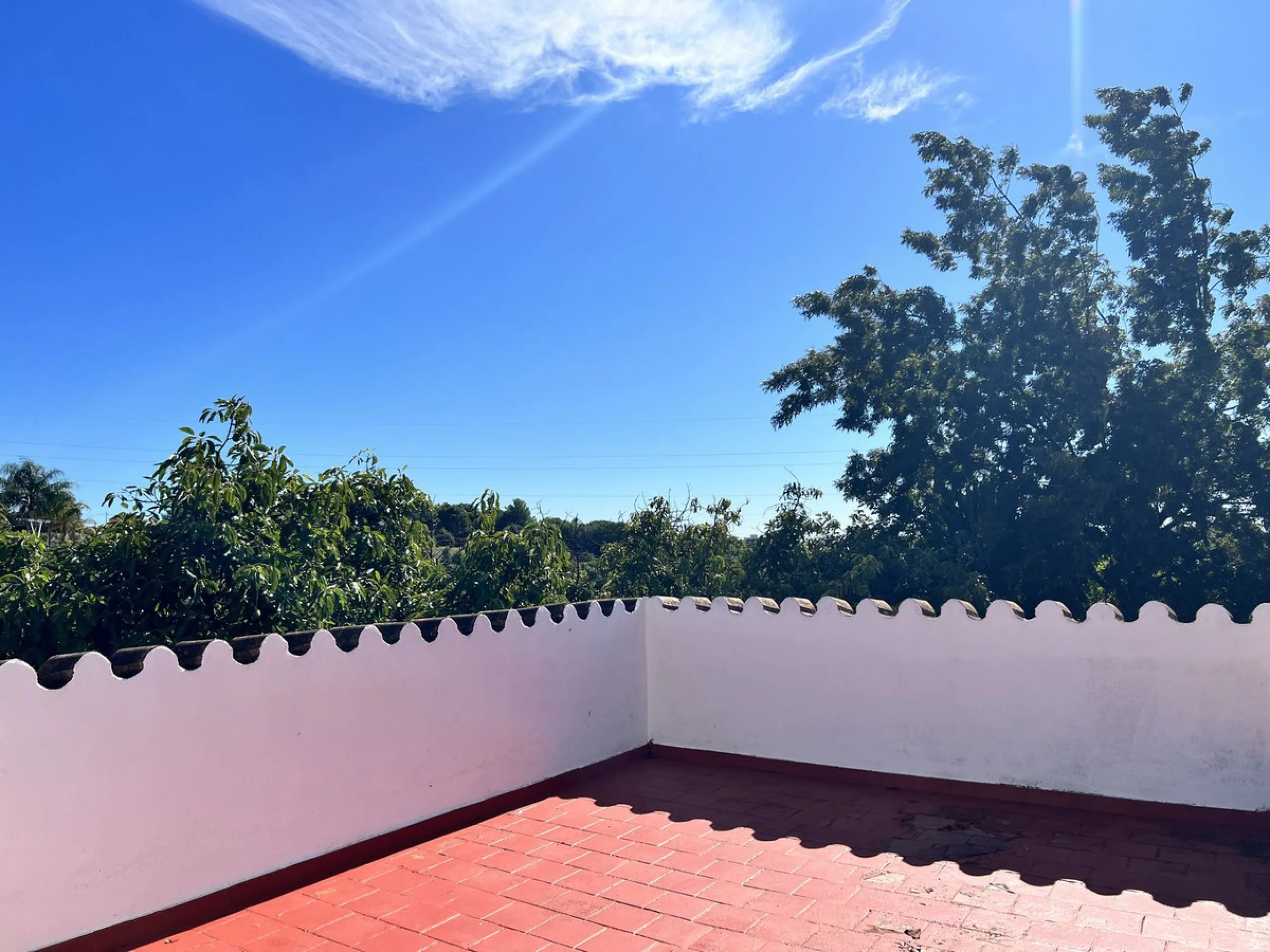 Wonderfull south facing Finca with a 3 bedroom house of 100 m2 in a very quiet location on a  3000 m2  plot with various fruit trees such as figs,oranges,chirimoyas,avocados etc,