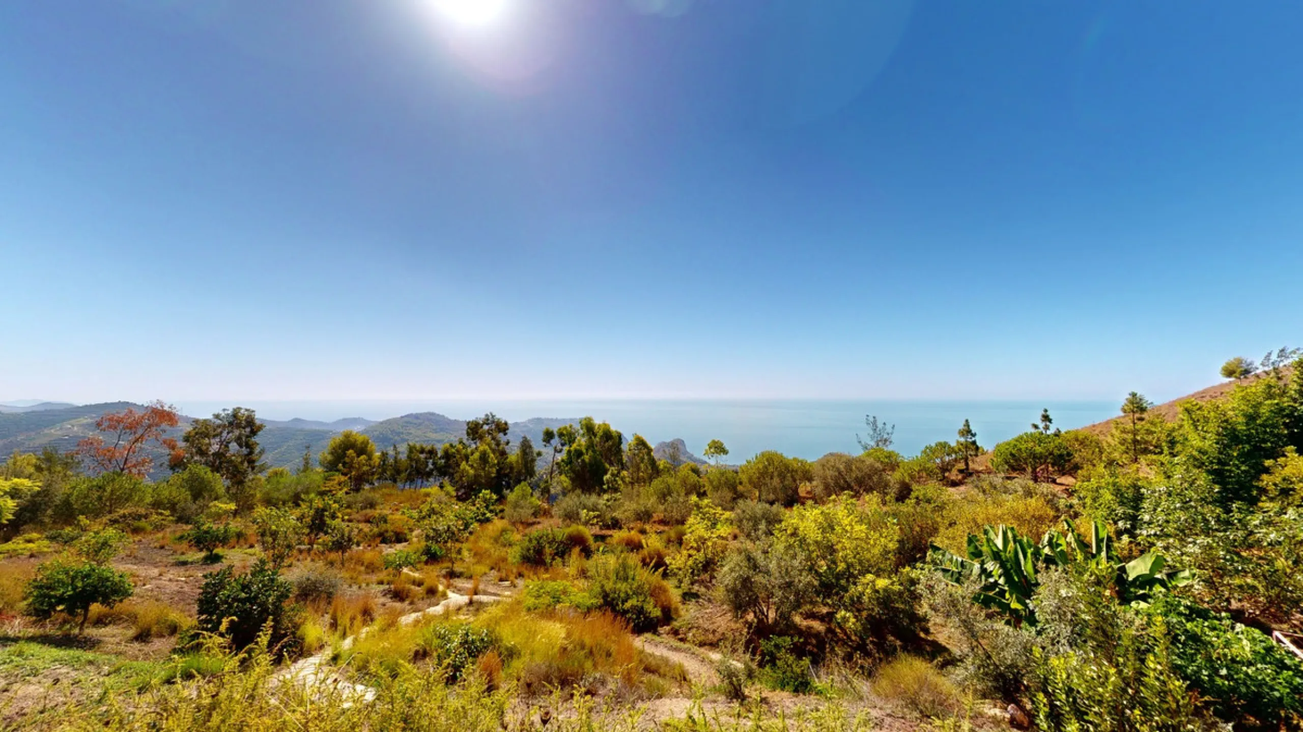 Between the Sierra de Almijara and the Mediterranean Sea lies this spectacular ecological finca of 4 hectares, bordering the natural park Maro-Cerro Gorde, which provides a haven of tranquillity and enormous privacy. The property has a plot of 35.955 squa