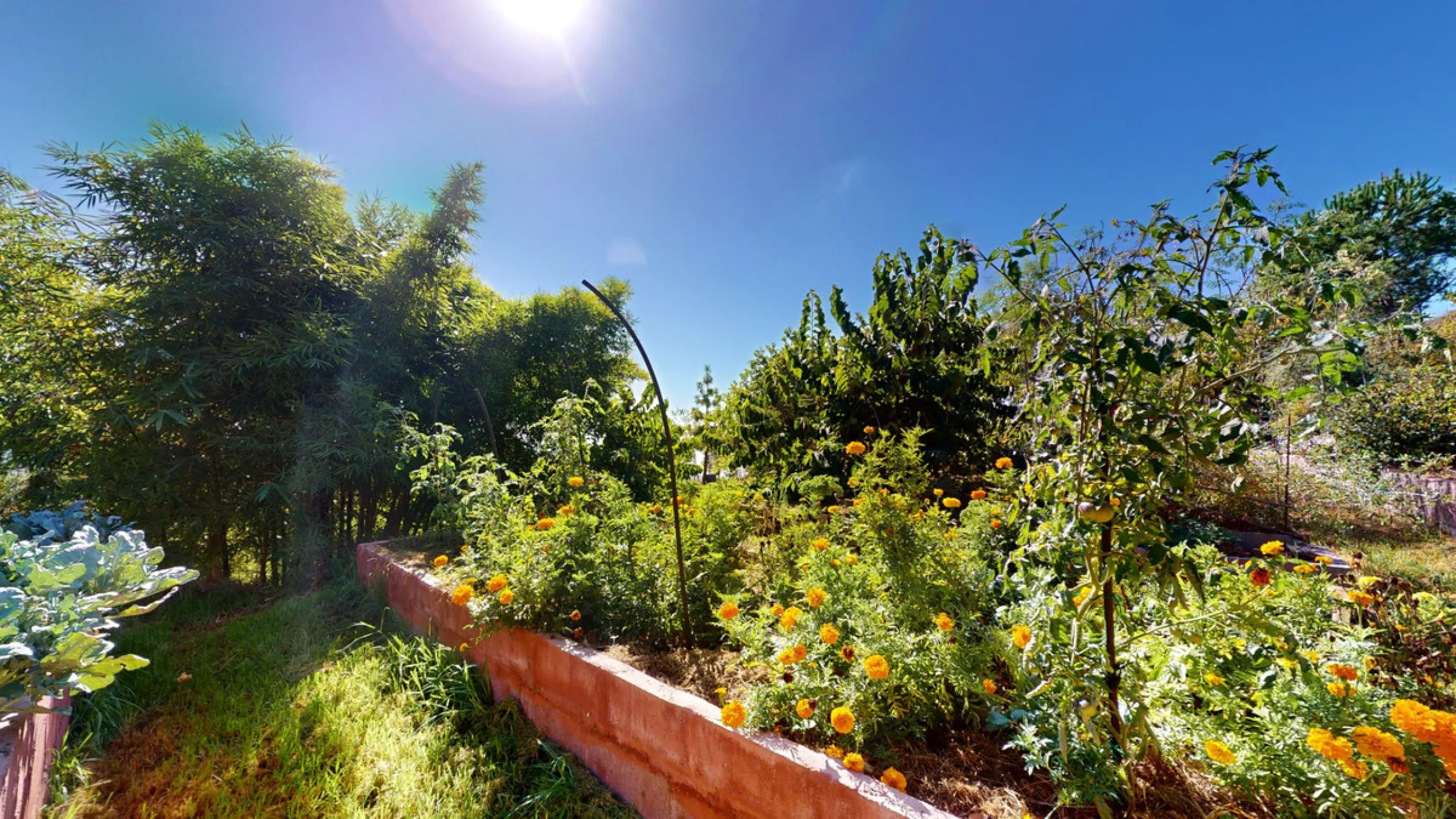 Between the Sierra de Almijara and the Mediterranean Sea lies this spectacular ecological finca of 4 hectares, bordering the natural park Maro-Cerro Gorde, which provides a haven of tranquillity and enormous privacy. The property has a plot of 35.955 squa