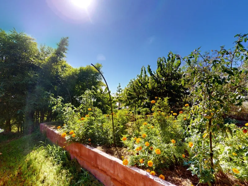 Between the Sierra de Almijara and the Mediterranean Sea lies this spectacular ecological finca of 4 hectares, bordering the natural park Maro-Cerro Gorde, which provides a haven of tranquillity and enormous privacy. The property has a plot of 35.955 squa