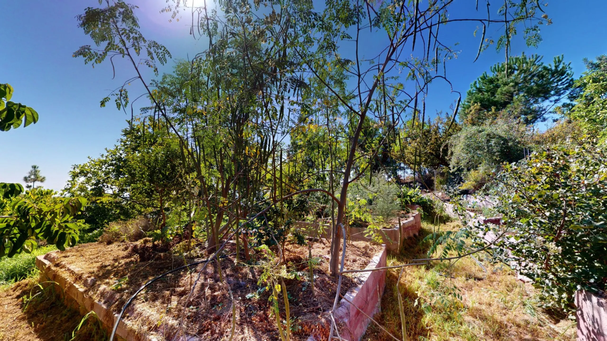 Between the Sierra de Almijara and the Mediterranean Sea lies this spectacular ecological finca of 4 hectares, bordering the natural park Maro-Cerro Gorde, which provides a haven of tranquillity and enormous privacy. The property has a plot of 35.955 squa