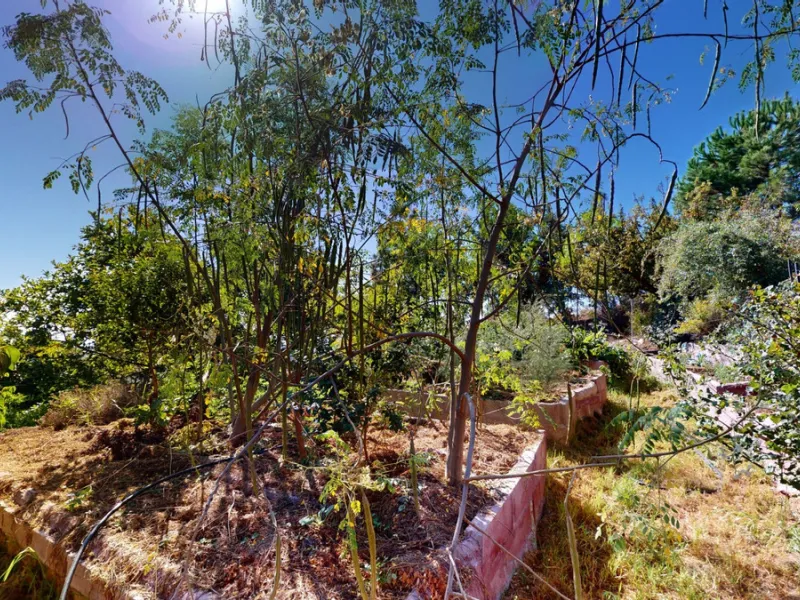 Between the Sierra de Almijara and the Mediterranean Sea lies this spectacular ecological finca of 4 hectares, bordering the natural park Maro-Cerro Gorde, which provides a haven of tranquillity and enormous privacy. The property has a plot of 35.955 squa