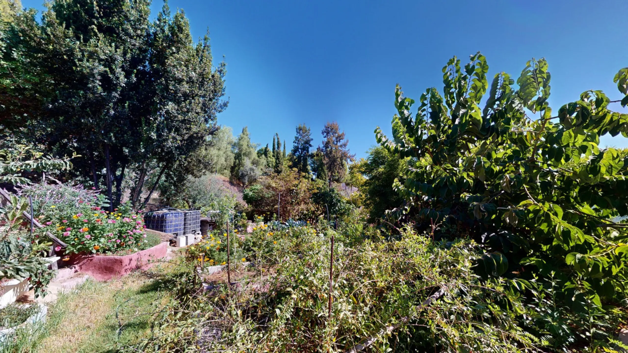 Between the Sierra de Almijara and the Mediterranean Sea lies this spectacular ecological finca of 4 hectares, bordering the natural park Maro-Cerro Gorde, which provides a haven of tranquillity and enormous privacy. The property has a plot of 35.955 squa