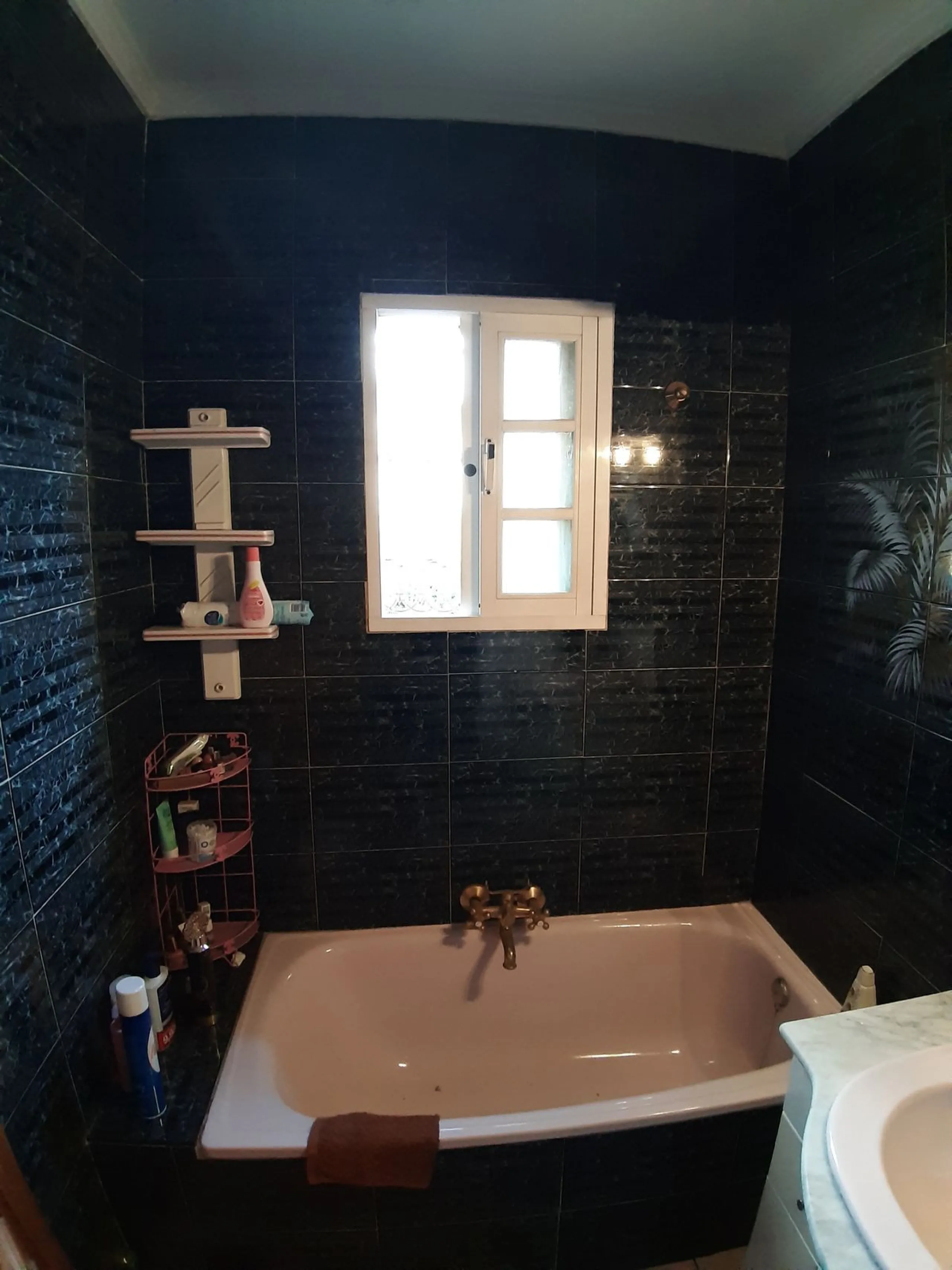 Very spacious house in Las Lagunas in perfect condition, ready to move into.