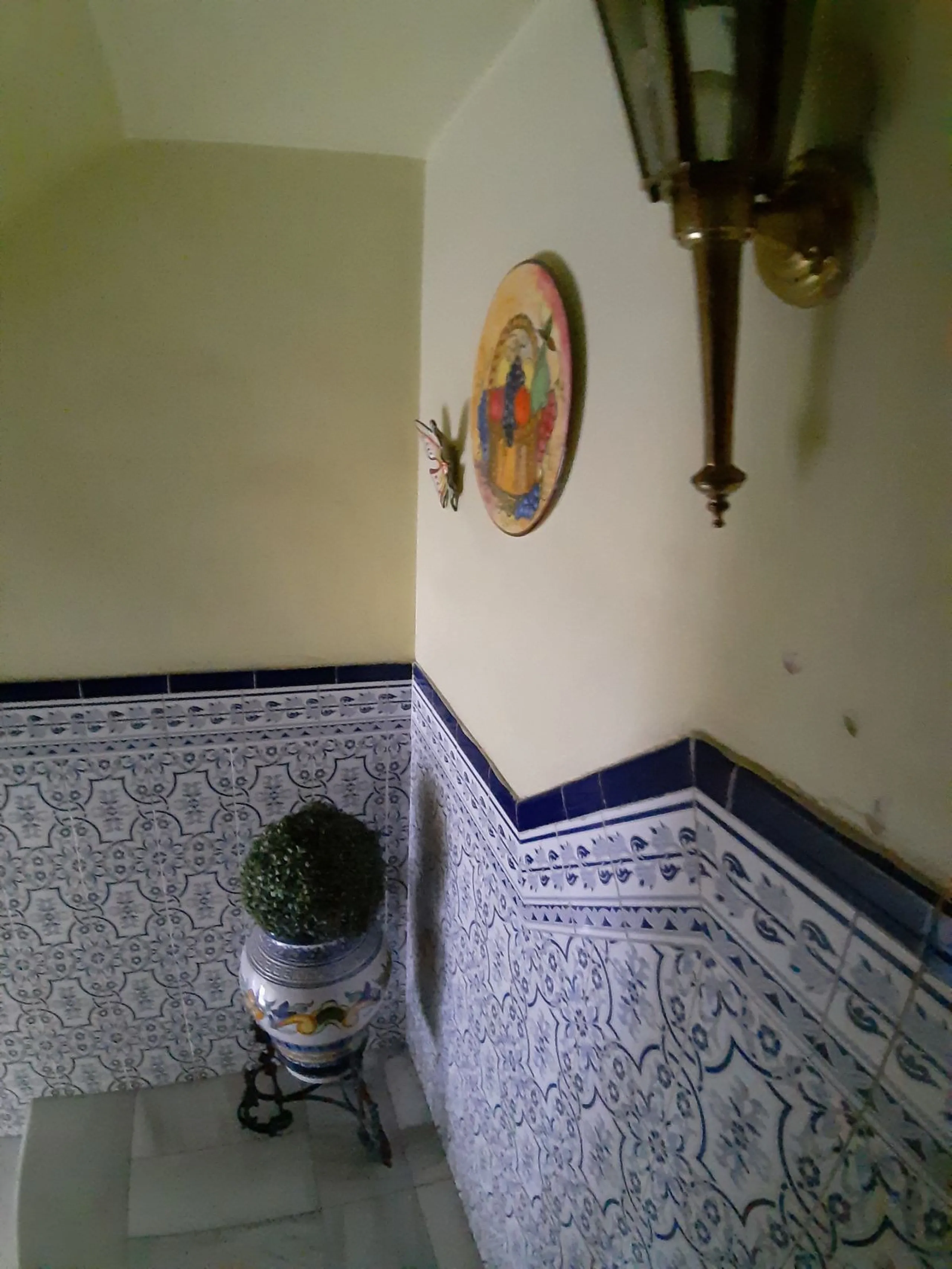 Very spacious house in Las Lagunas in perfect condition, ready to move into.