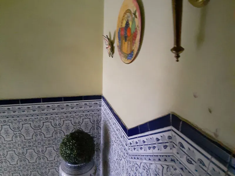 Very spacious house in Las Lagunas in perfect condition, ready to move into.