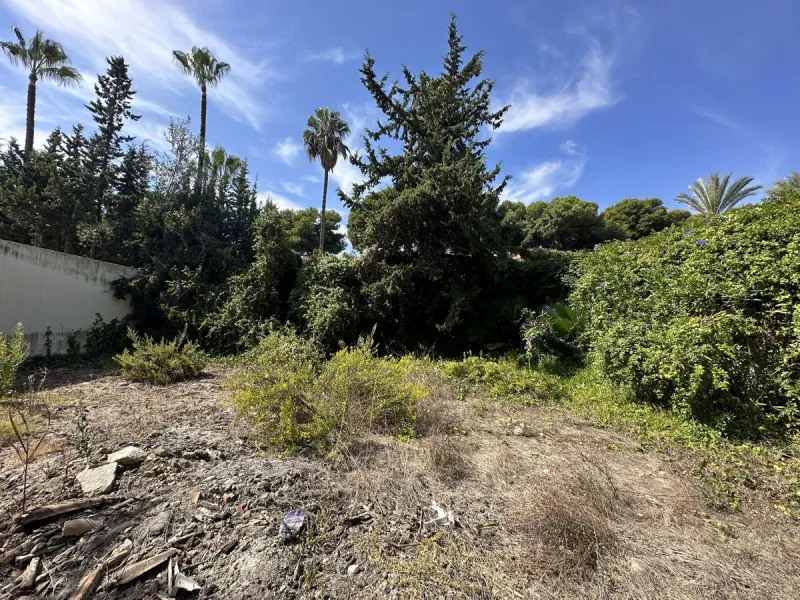 AVAILABLE...Plot (no project)