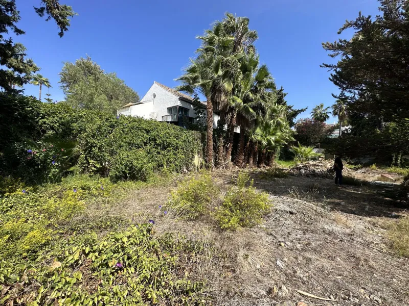 AVAILABLE...Plot (no project)