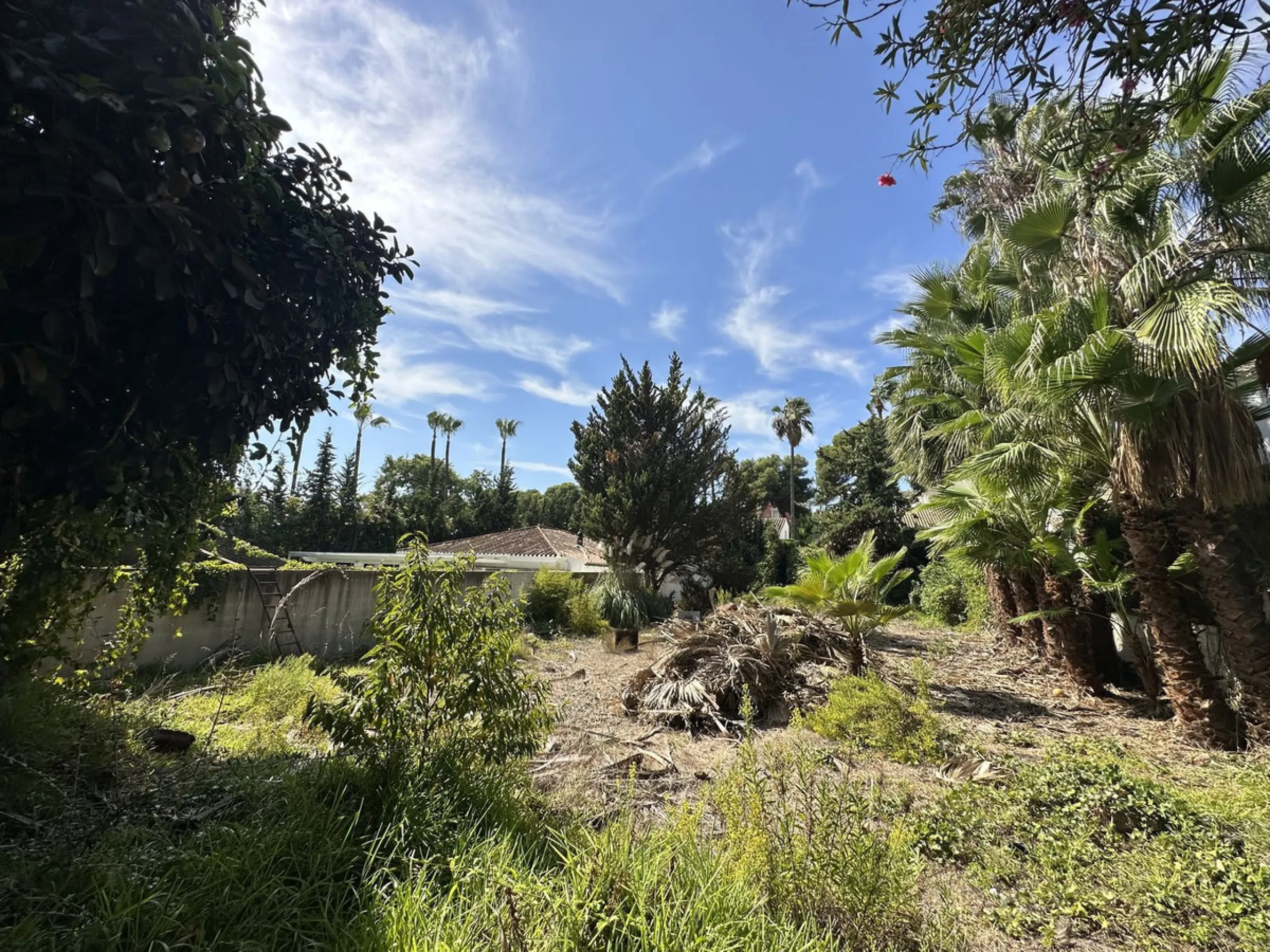 AVAILABLE...Plot (no project)