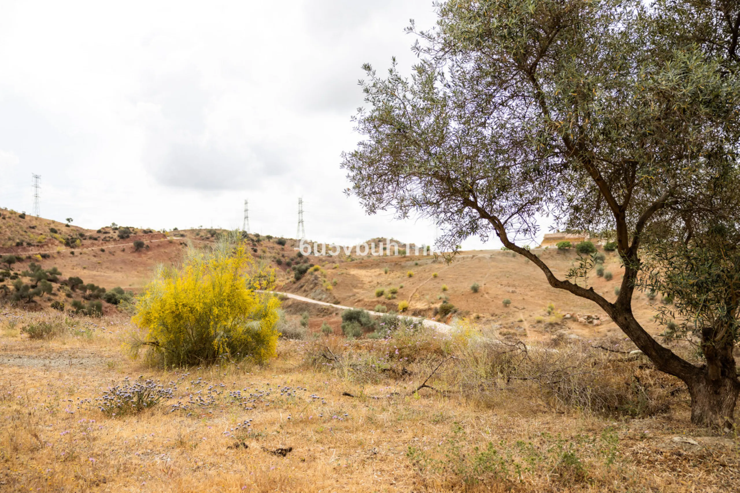 Plot - Land в продаже в Estacion de Cartama, Málaga. Площадь участка 90498 м²