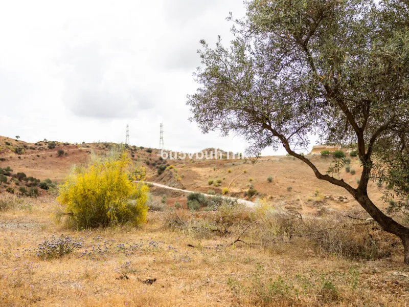 Plot - Land в продаже в Estacion de Cartama, Málaga. Площадь участка 90498 м²