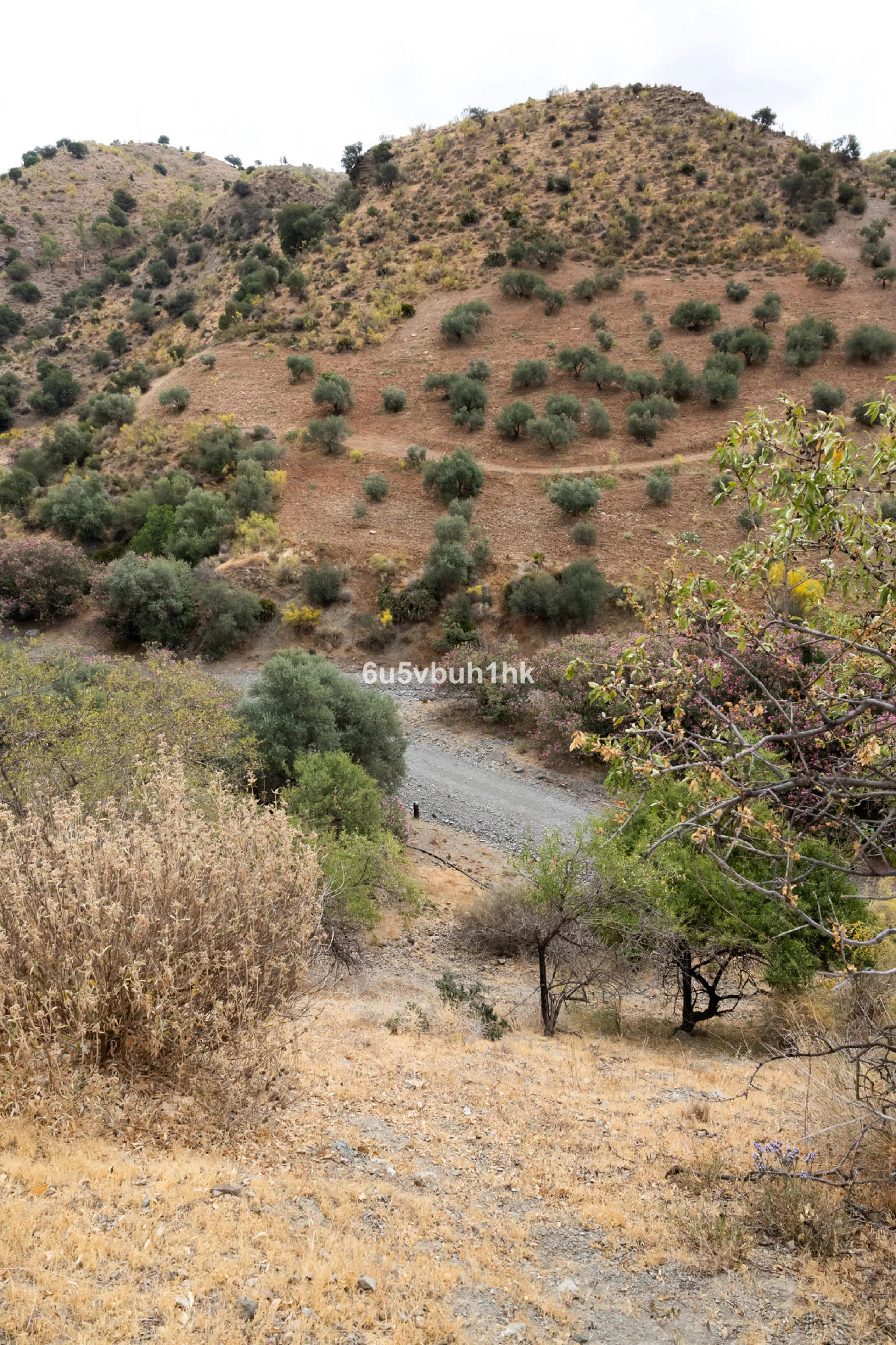 Plot - Land в продаже в Estacion de Cartama, Málaga. Площадь участка 90498 м²