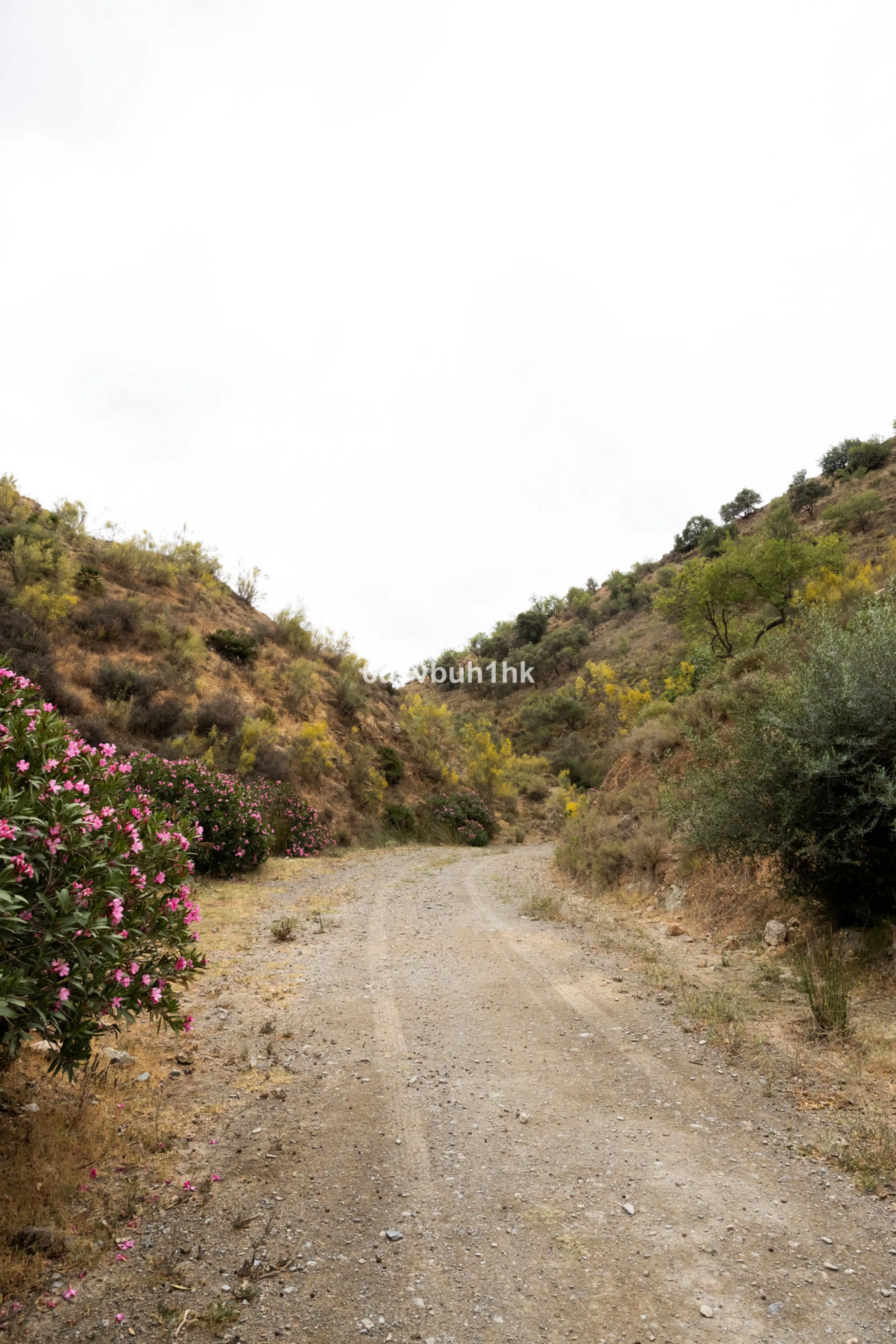 Plot - Land в продаже в Estacion de Cartama, Málaga. Площадь участка 90498 м²