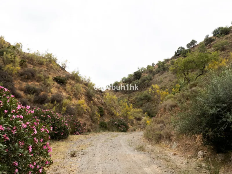Plot - Land в продаже в Estacion de Cartama, Málaga. Площадь участка 90498 м²
