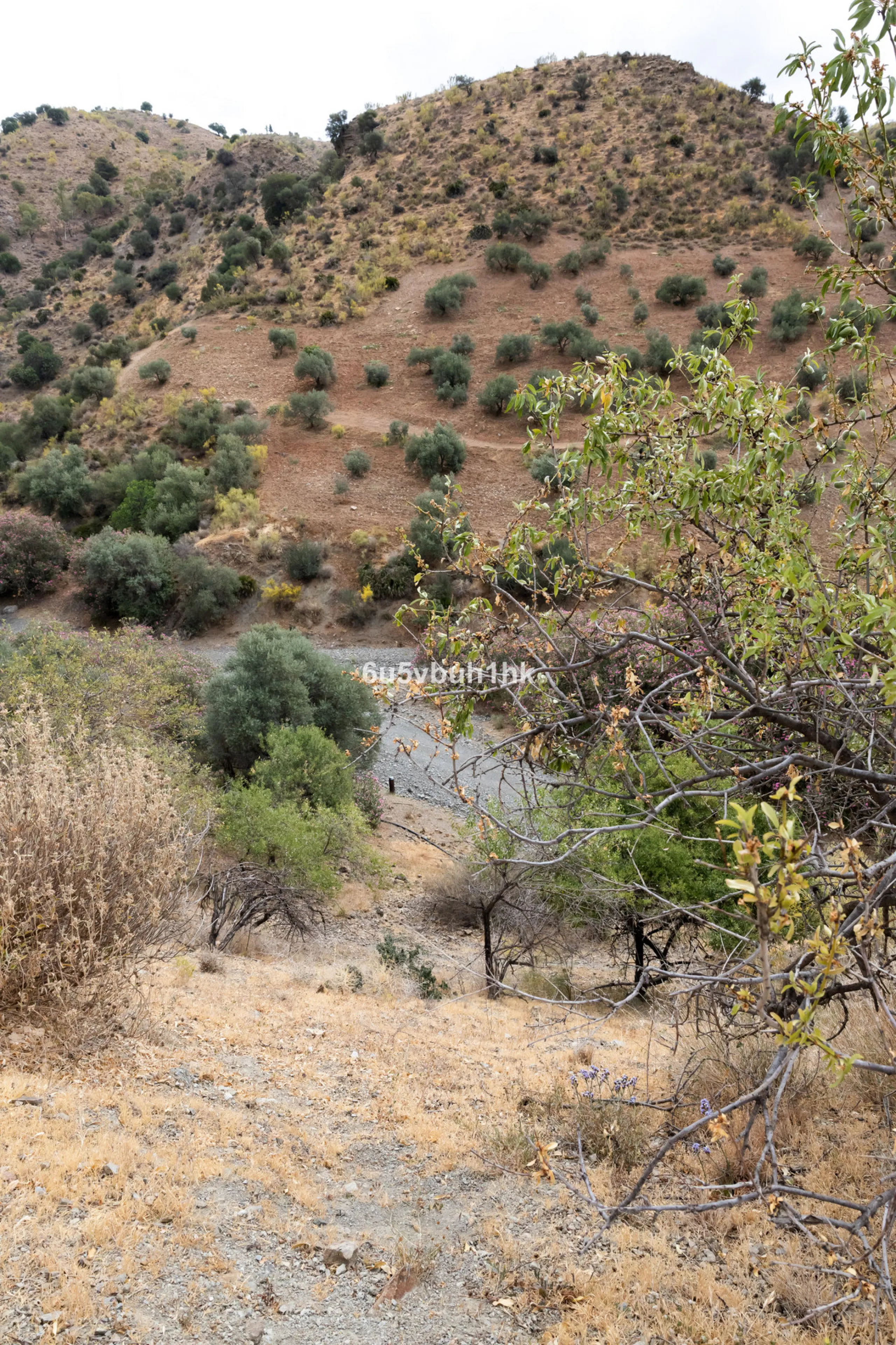Plot - Land в продаже в Estacion de Cartama, Málaga. Площадь участка 90498 м²