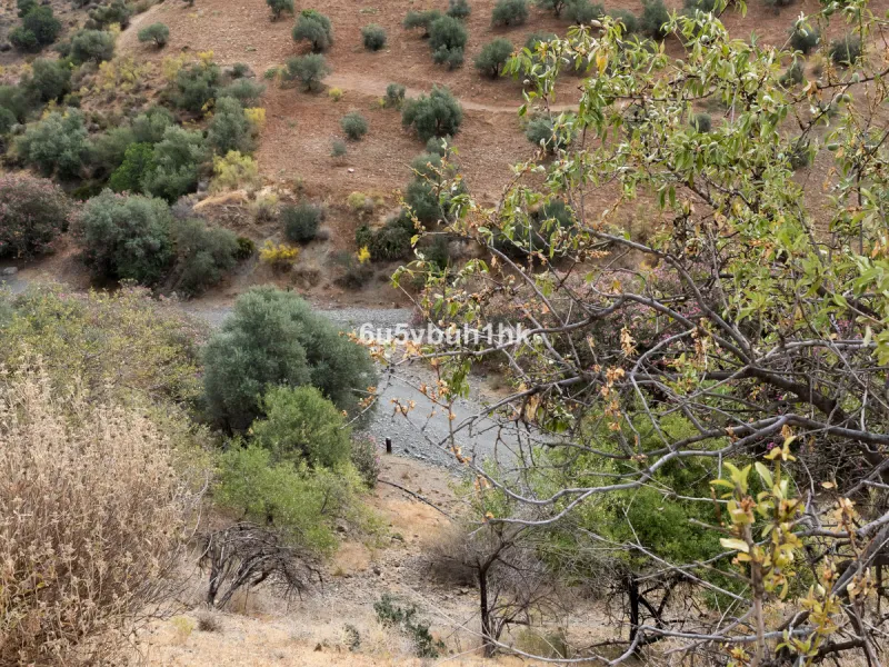 Plot - Land в продаже в Estacion de Cartama, Málaga. Площадь участка 90498 м²