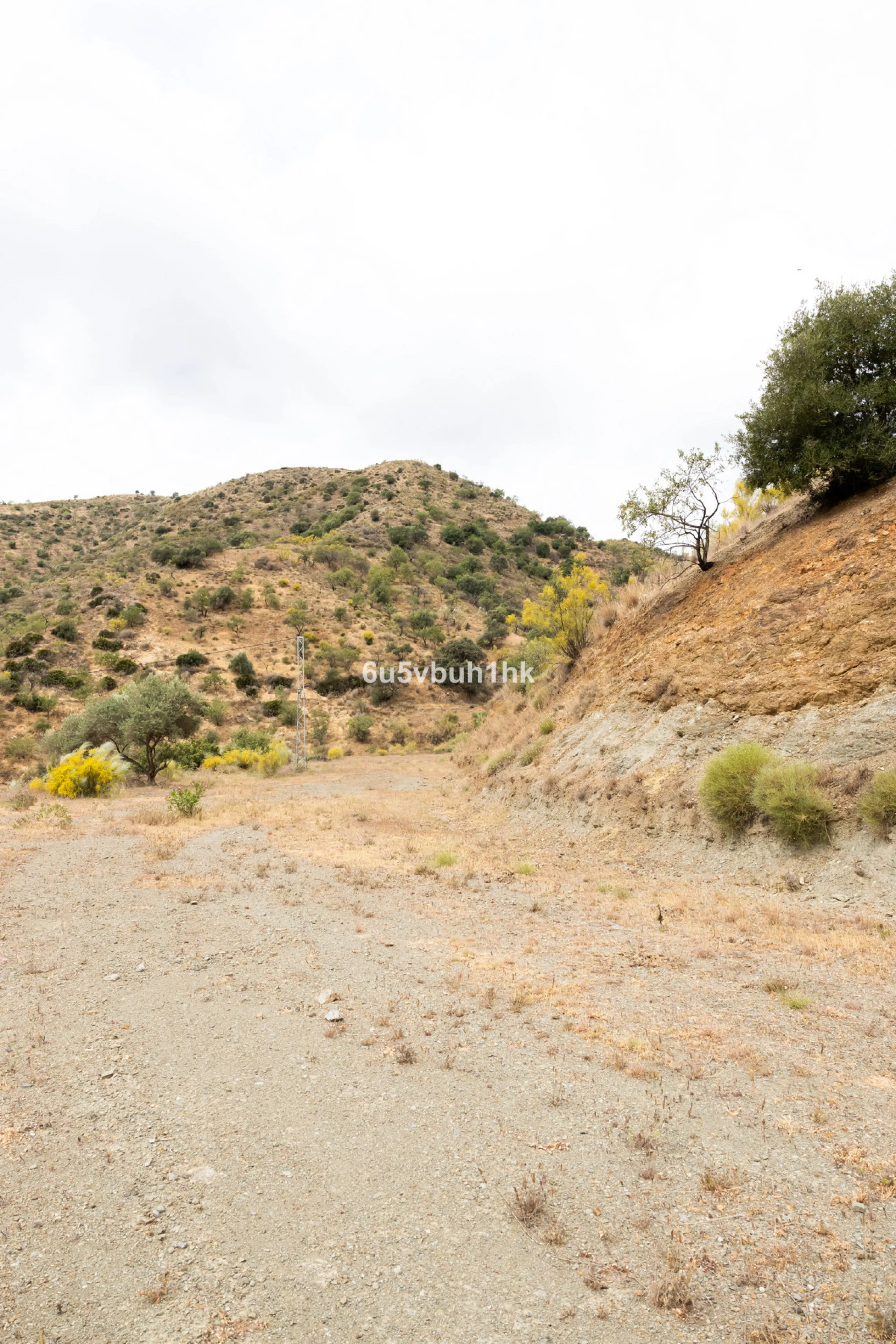 Plot - Land в продаже в Estacion de Cartama, Málaga. Площадь участка 90498 м²