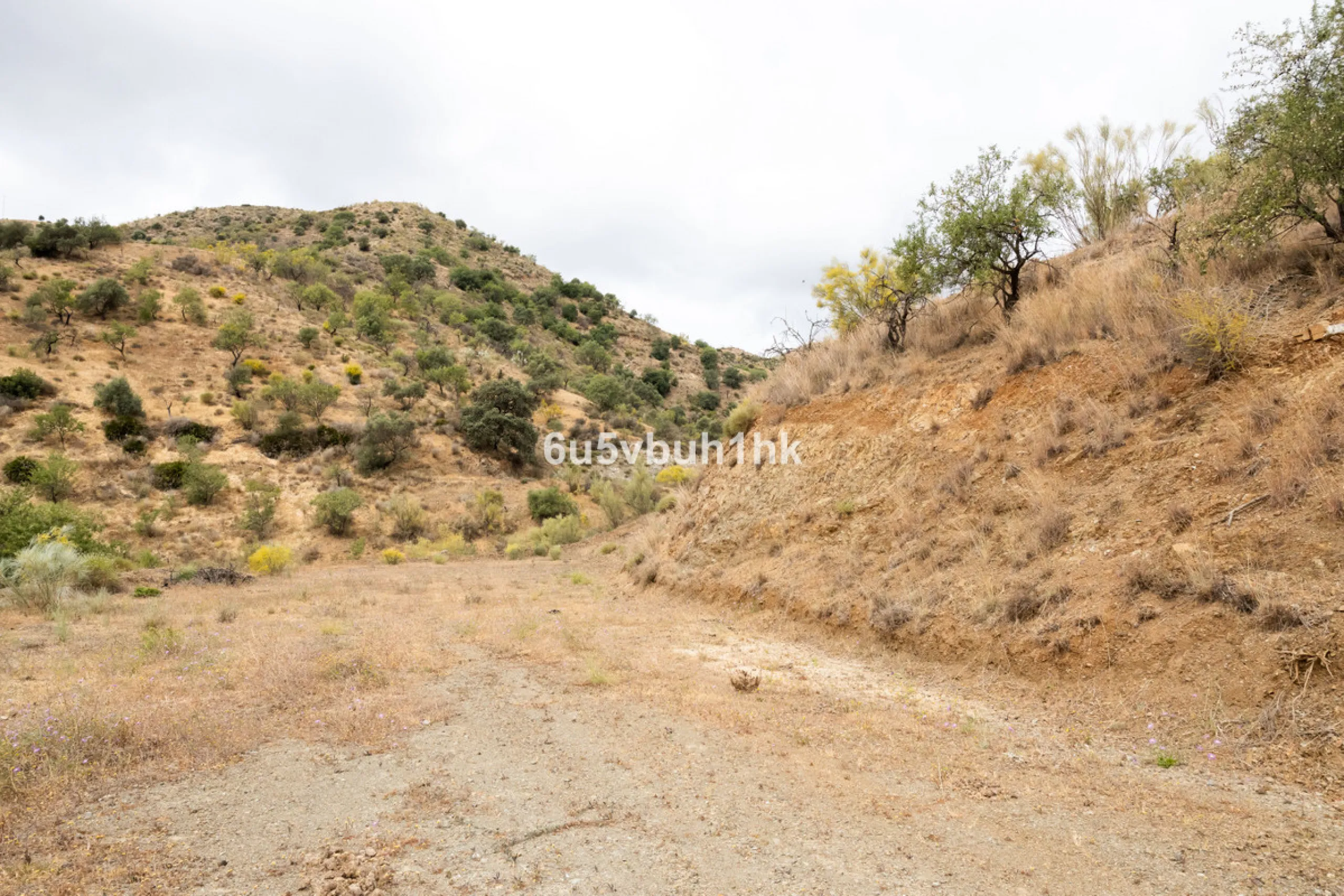 Plot - Land в продаже в Estacion de Cartama, Málaga. Площадь участка 90498 м²
