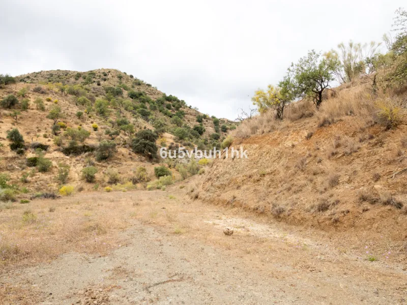 Plot - Land в продаже в Estacion de Cartama, Málaga. Площадь участка 90498 м²