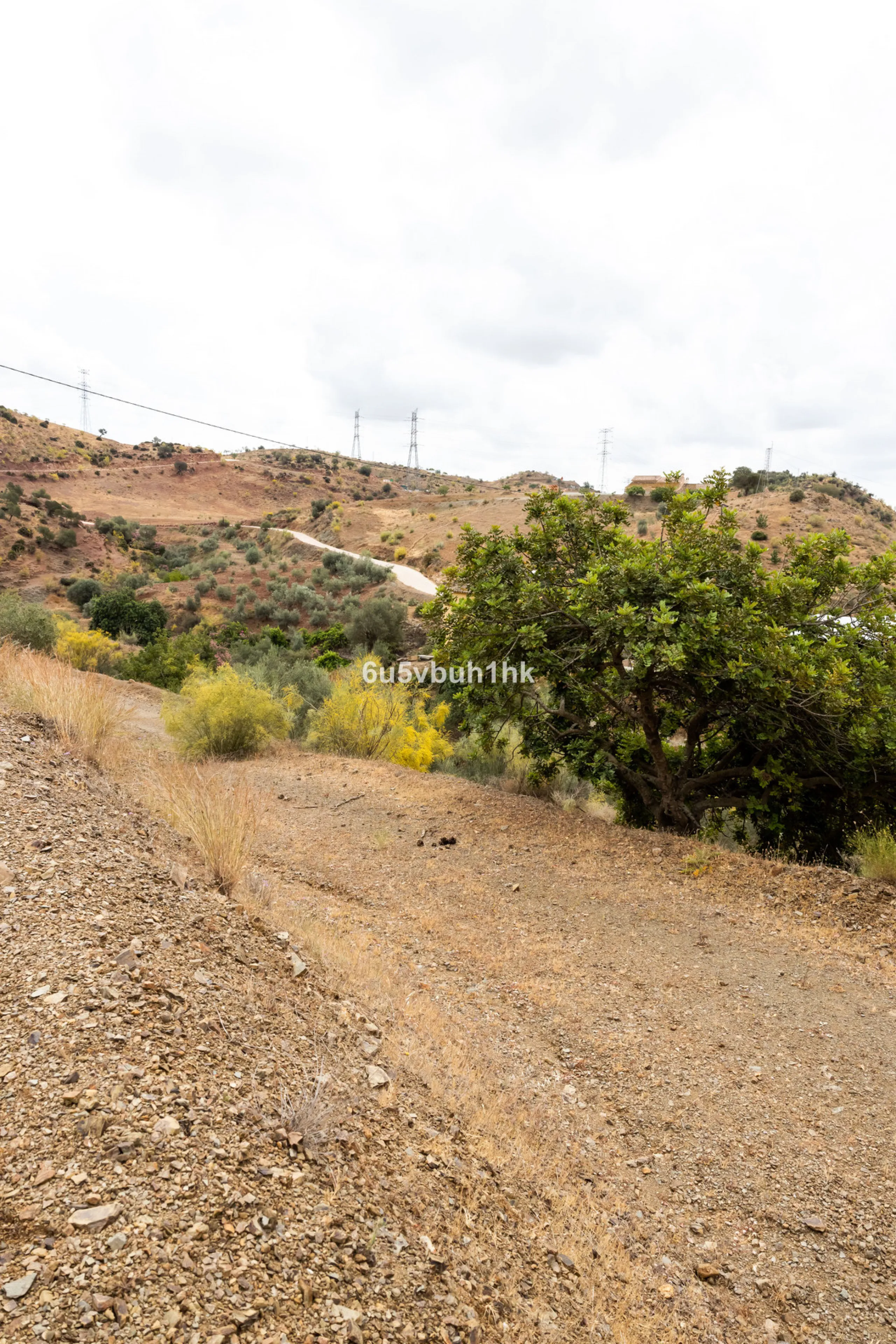 Plot - Land в продаже в Estacion de Cartama, Málaga. Площадь участка 90498 м²