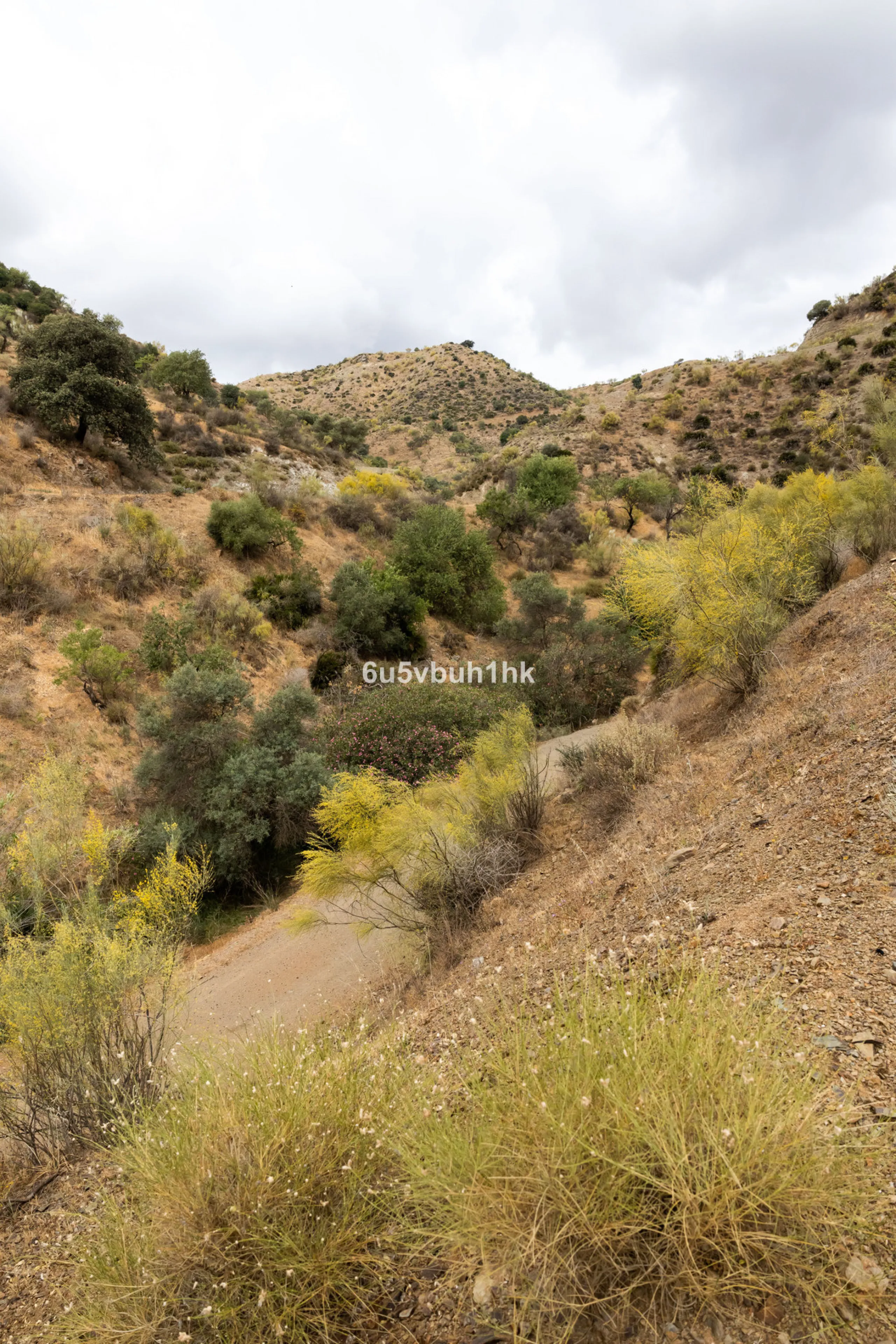 Plot - Land в продаже в Estacion de Cartama, Málaga. Площадь участка 90498 м²