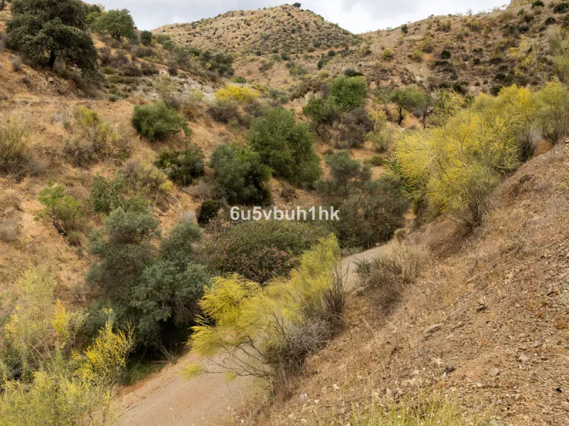 Plot - Land в продаже в Estacion de Cartama, Málaga. Площадь участка 90498 м²