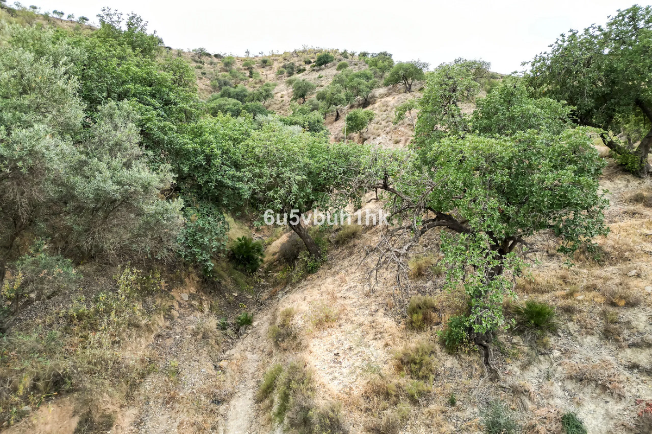 Plot - Land в продаже в Estacion de Cartama, Málaga. Площадь участка 90498 м²