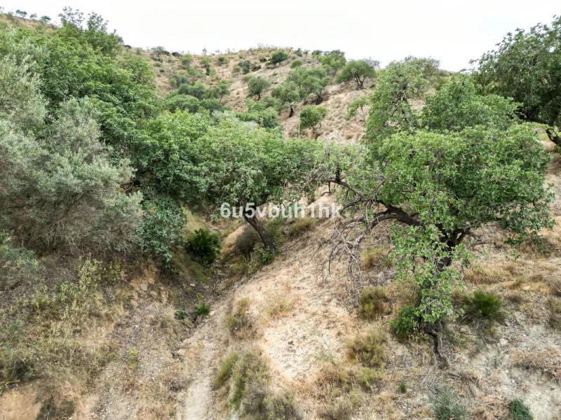 Plot - Land в продаже в Estacion de Cartama, Málaga. Площадь участка 90498 м²