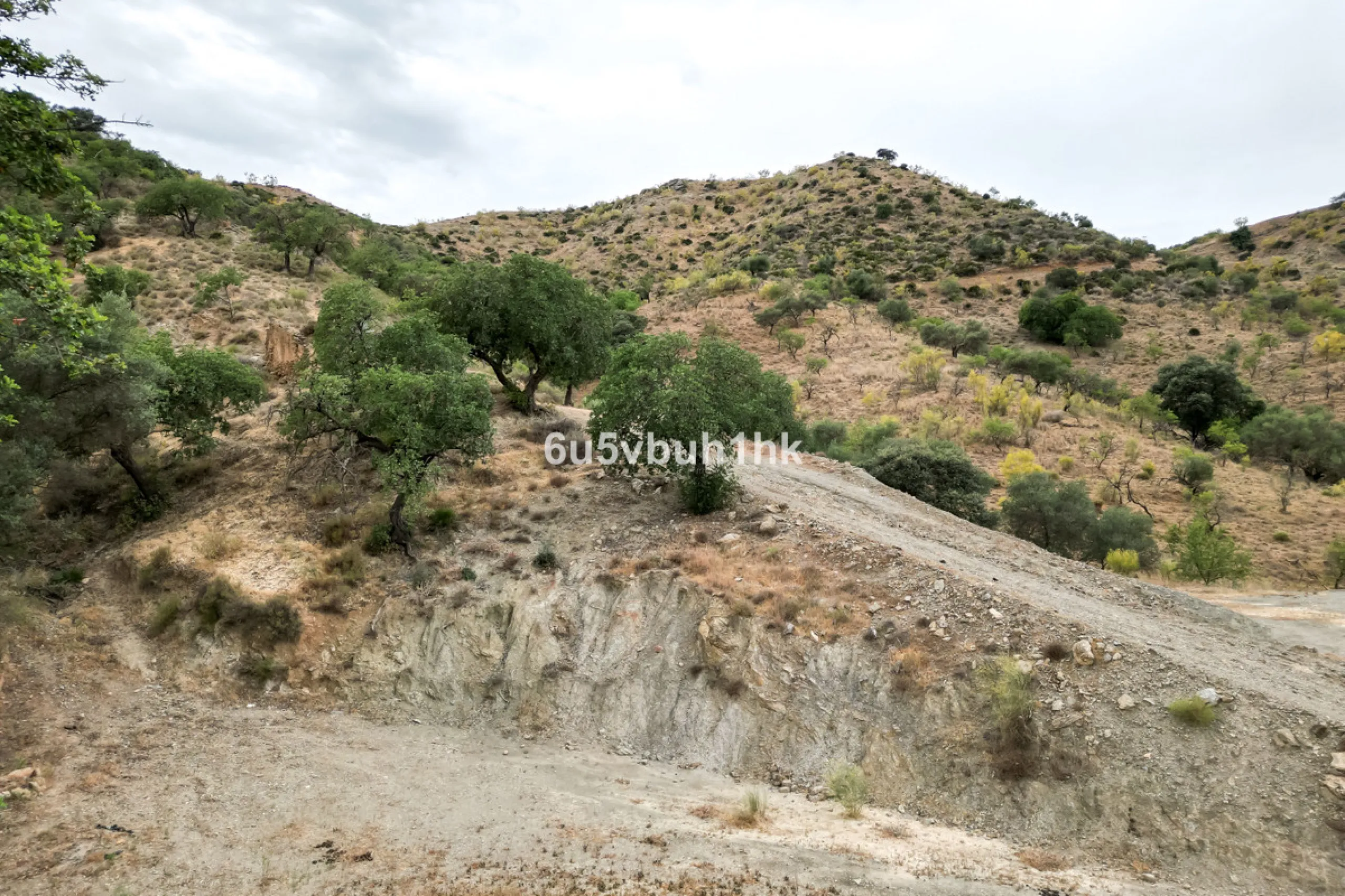 Plot - Land в продаже в Estacion de Cartama, Málaga. Площадь участка 90498 м²