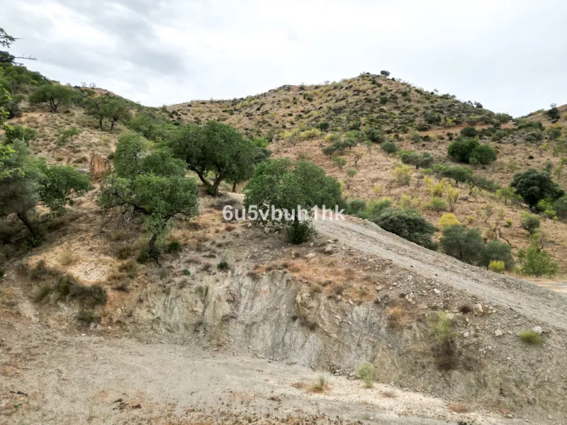 Plot - Land в продаже в Estacion de Cartama, Málaga. Площадь участка 90498 м²
