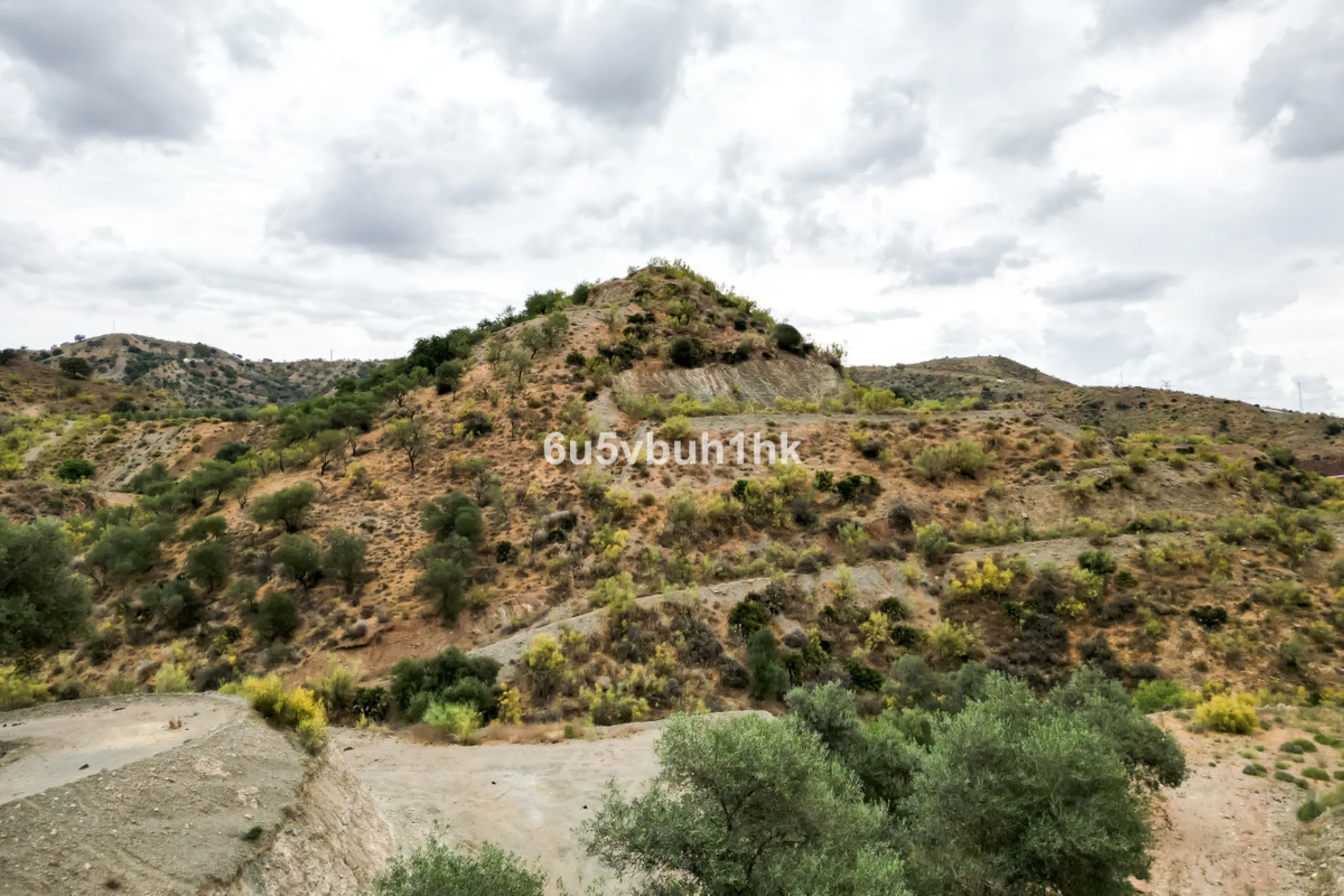 Plot - Land в продаже в Estacion de Cartama, Málaga. Площадь участка 90498 м²