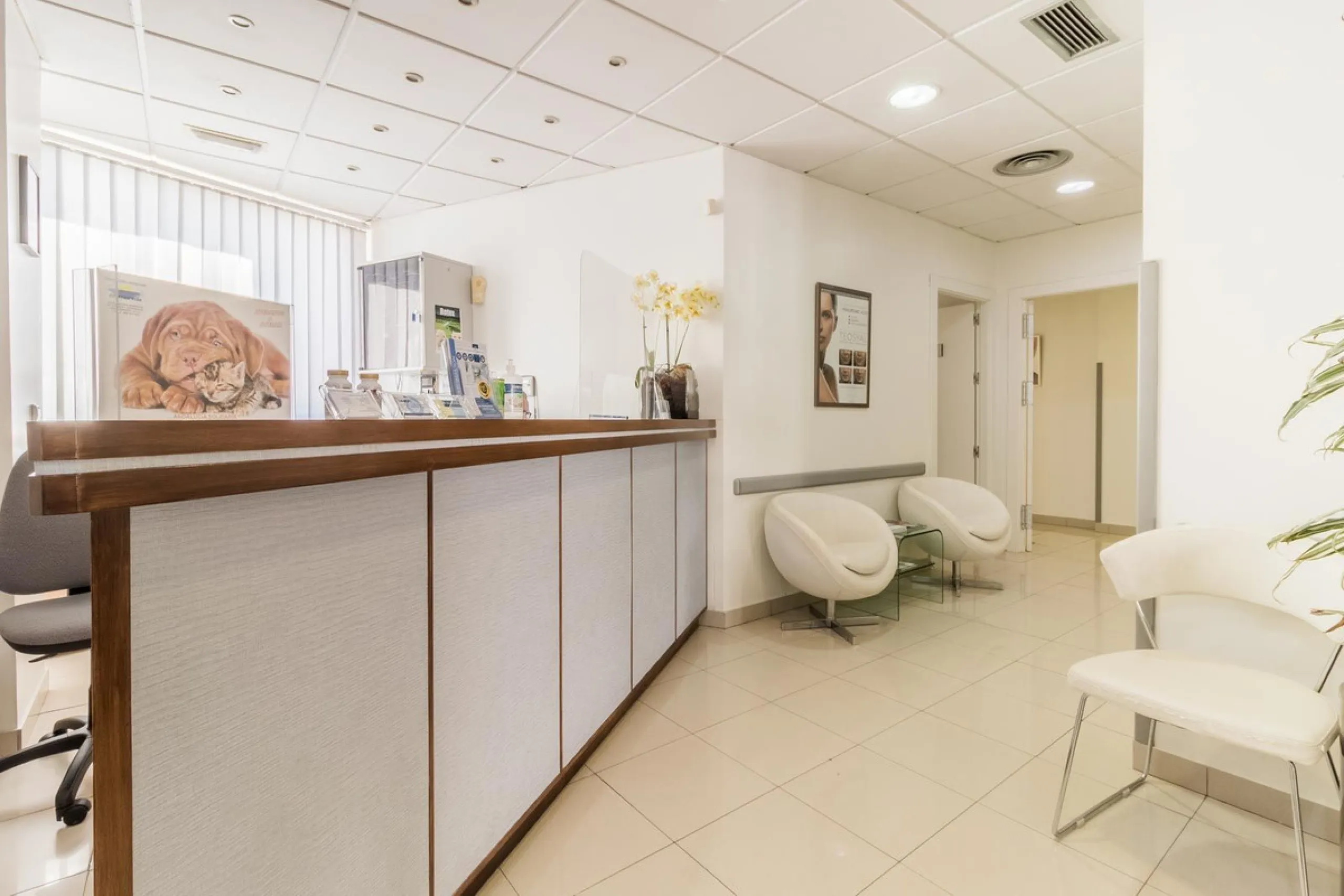 Unique Opportunity for Commercial Premises in Nueva Andalucia, Marbella