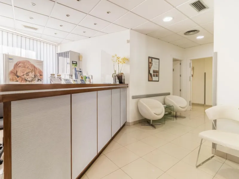 Unique Opportunity for Commercial Premises in Nueva Andalucia, Marbella
