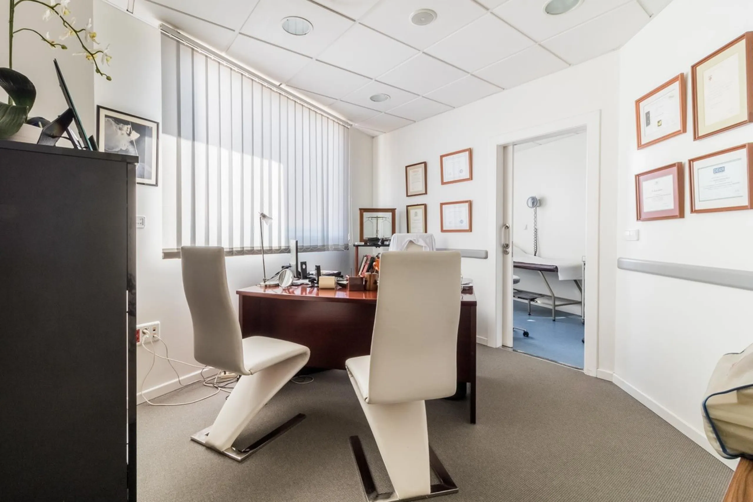 Unique Opportunity for Commercial Premises in Nueva Andalucia, Marbella