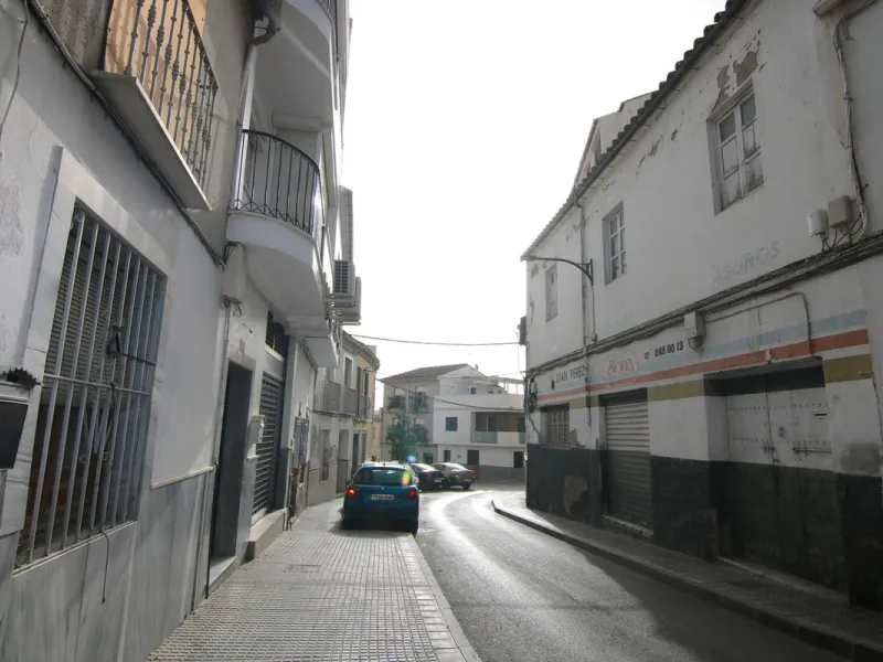 Commercial - Warehouse в продаже в Coín, Málaga. Площадь дома 823 м²